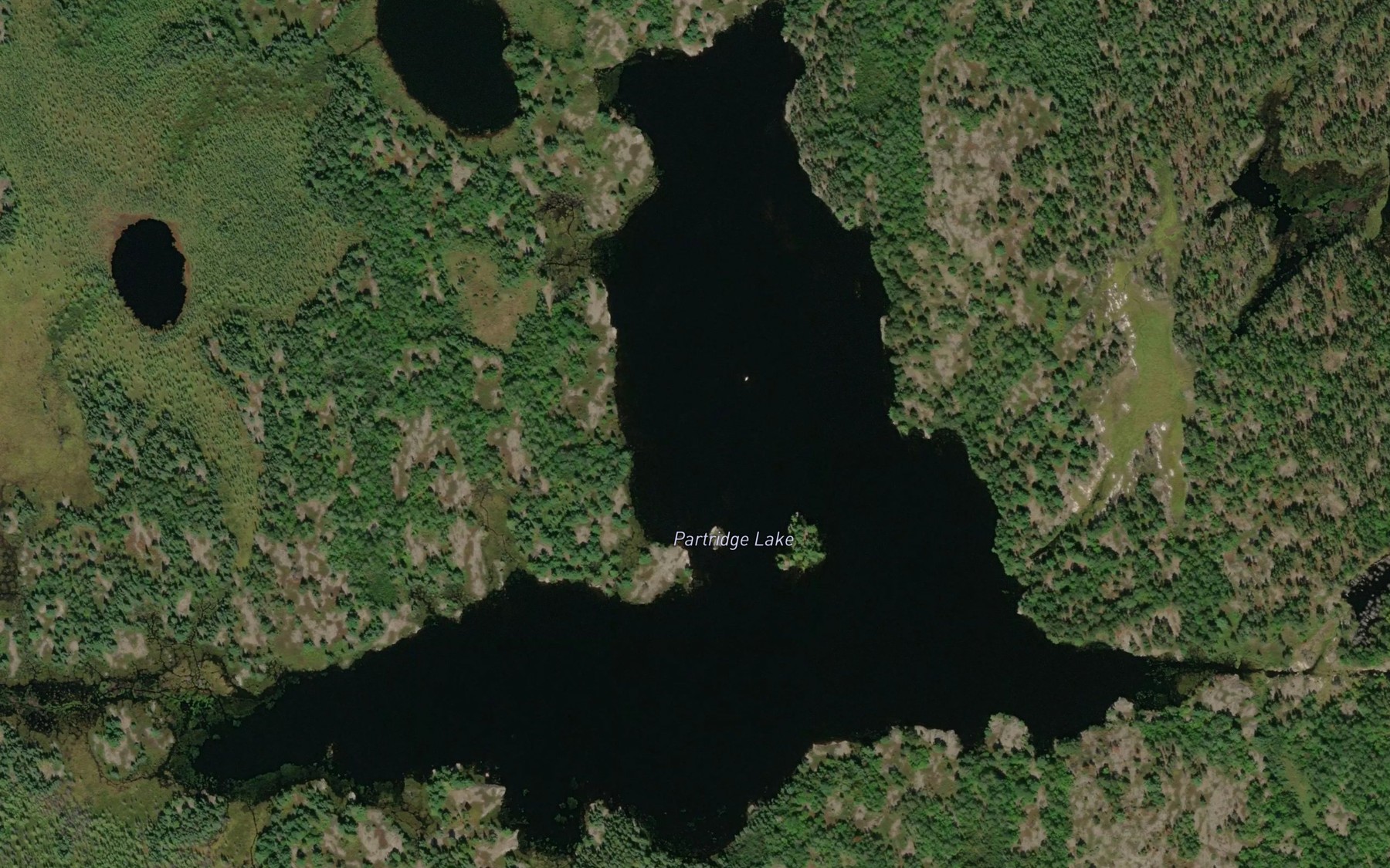 Satellite map of the Partridge Lake