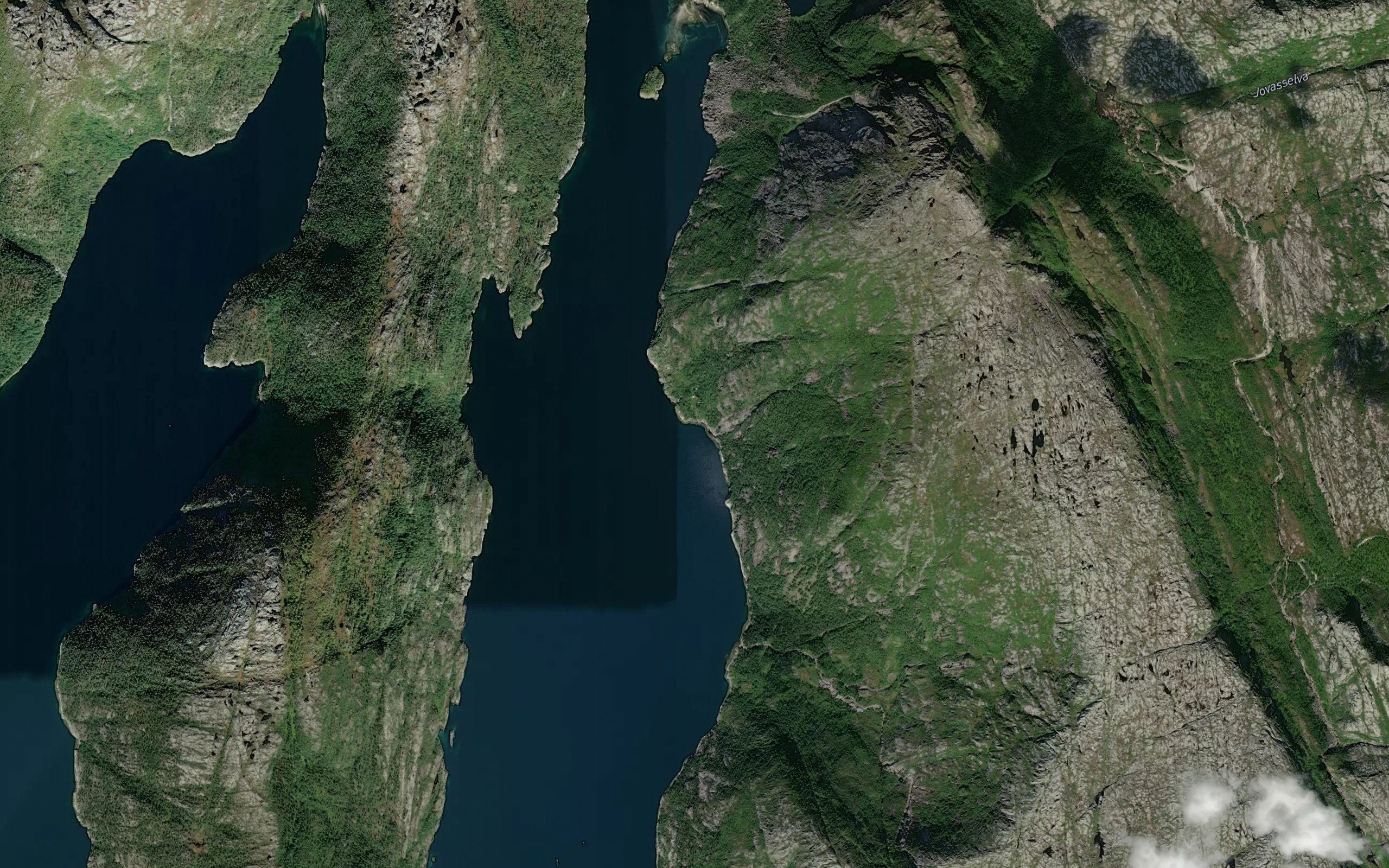 Fornesvika