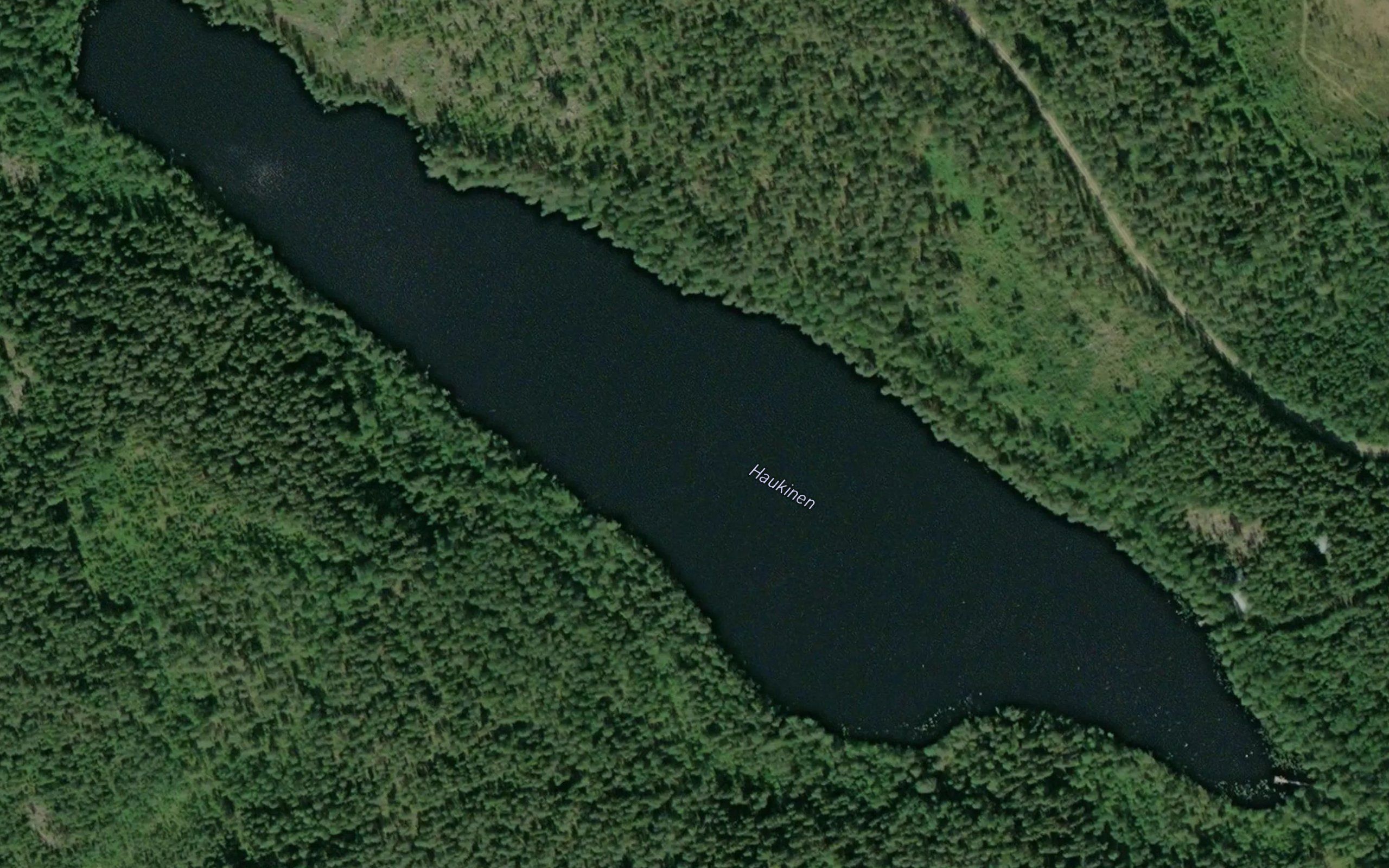 Haukinen