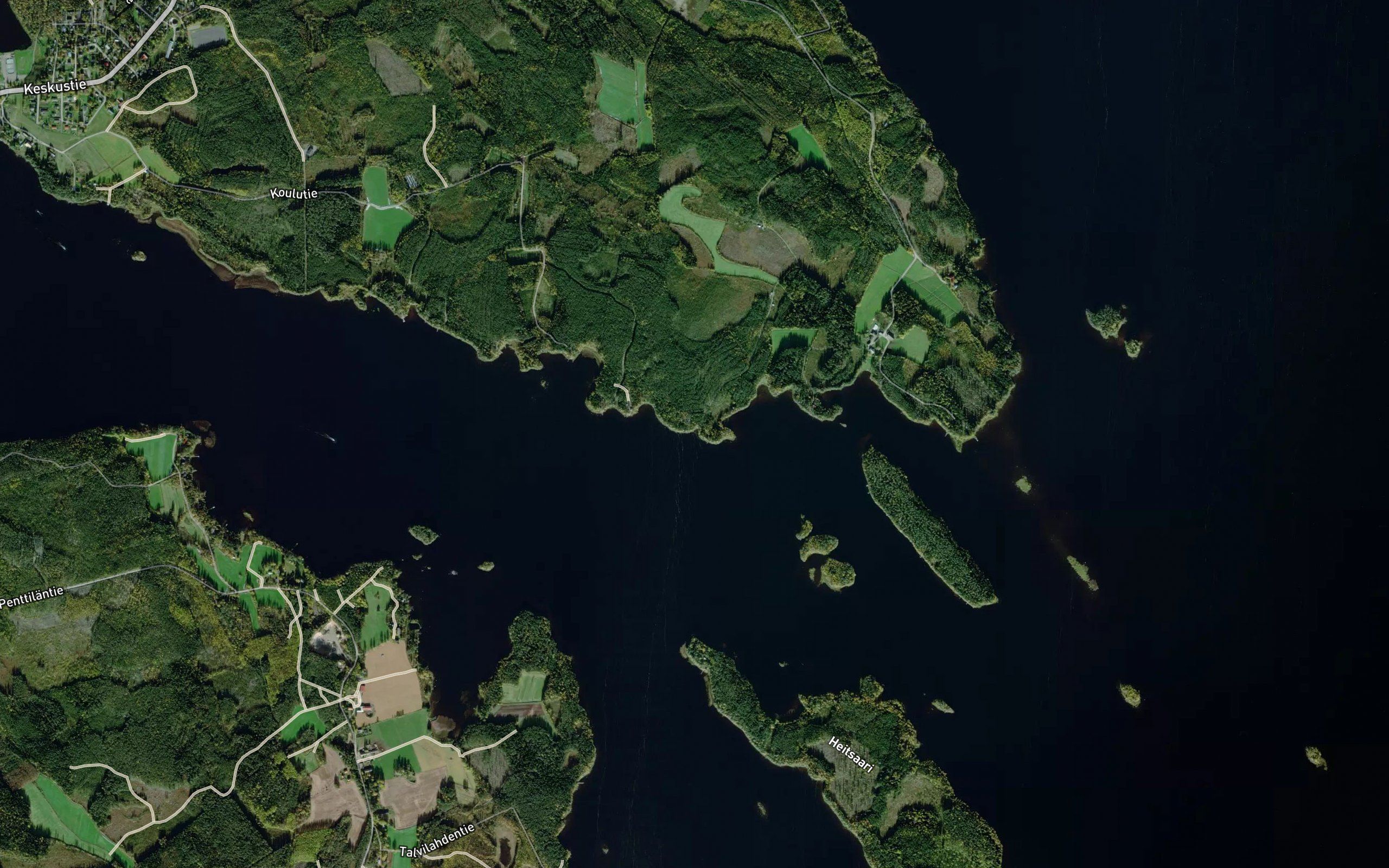 Peukalolahti