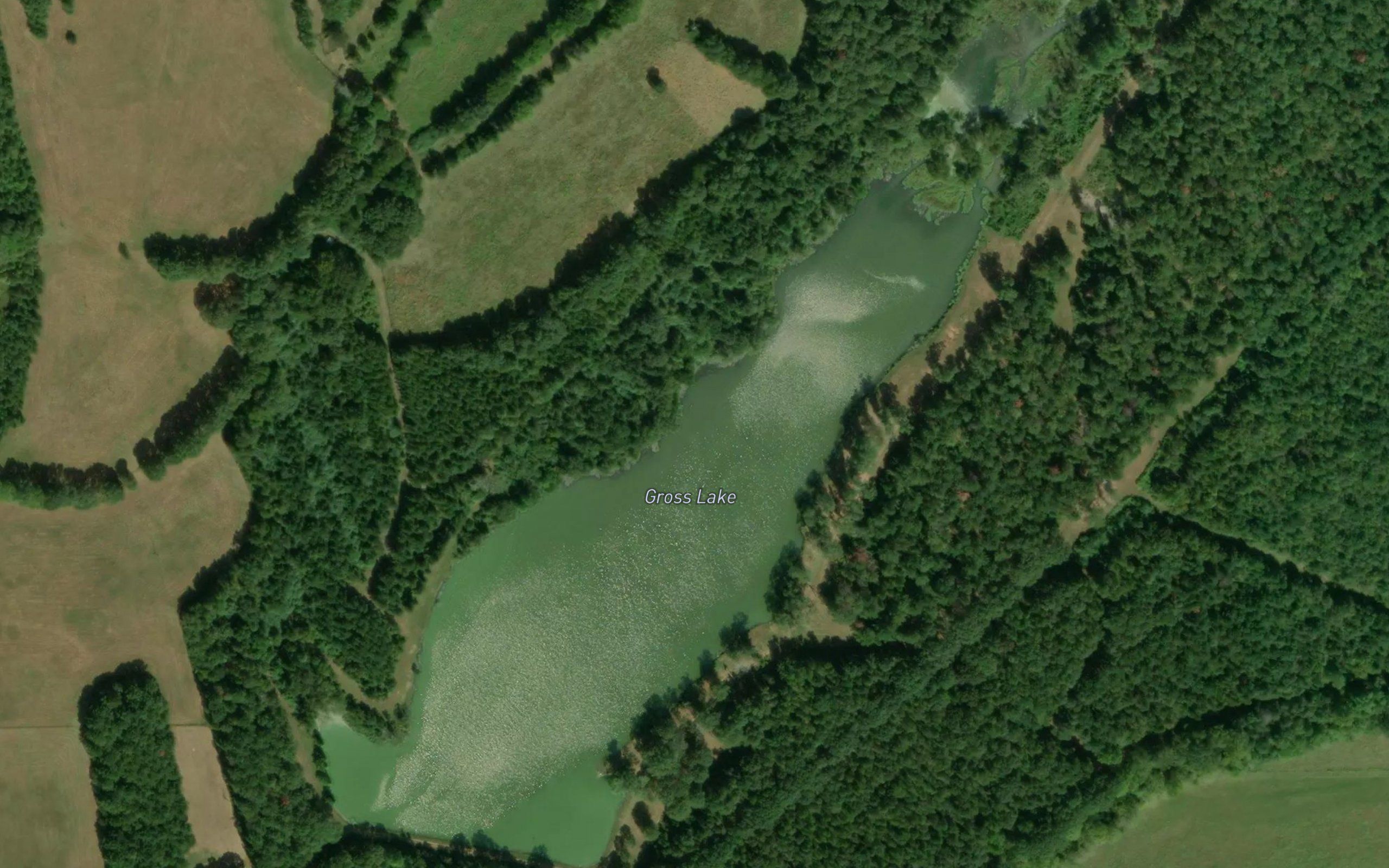 Gross Lake