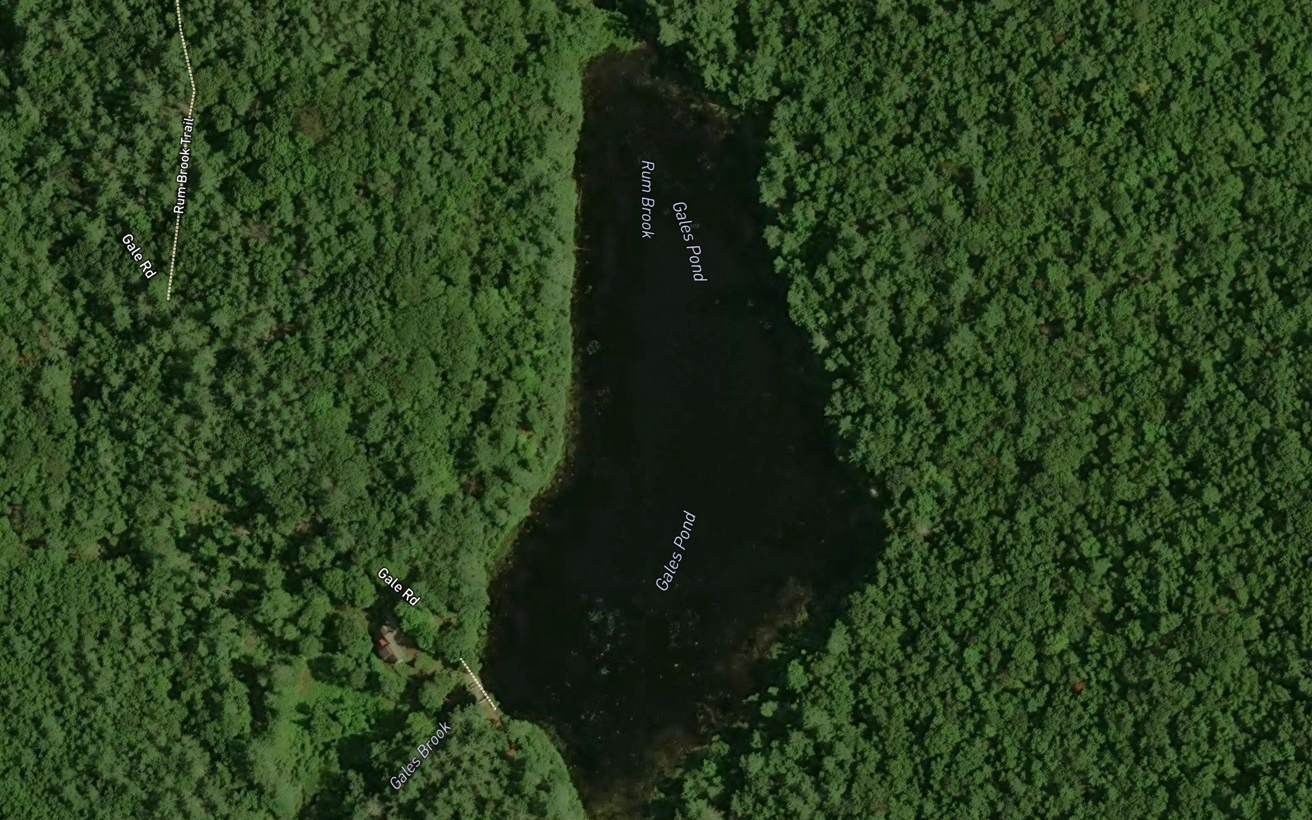 Gales Pond