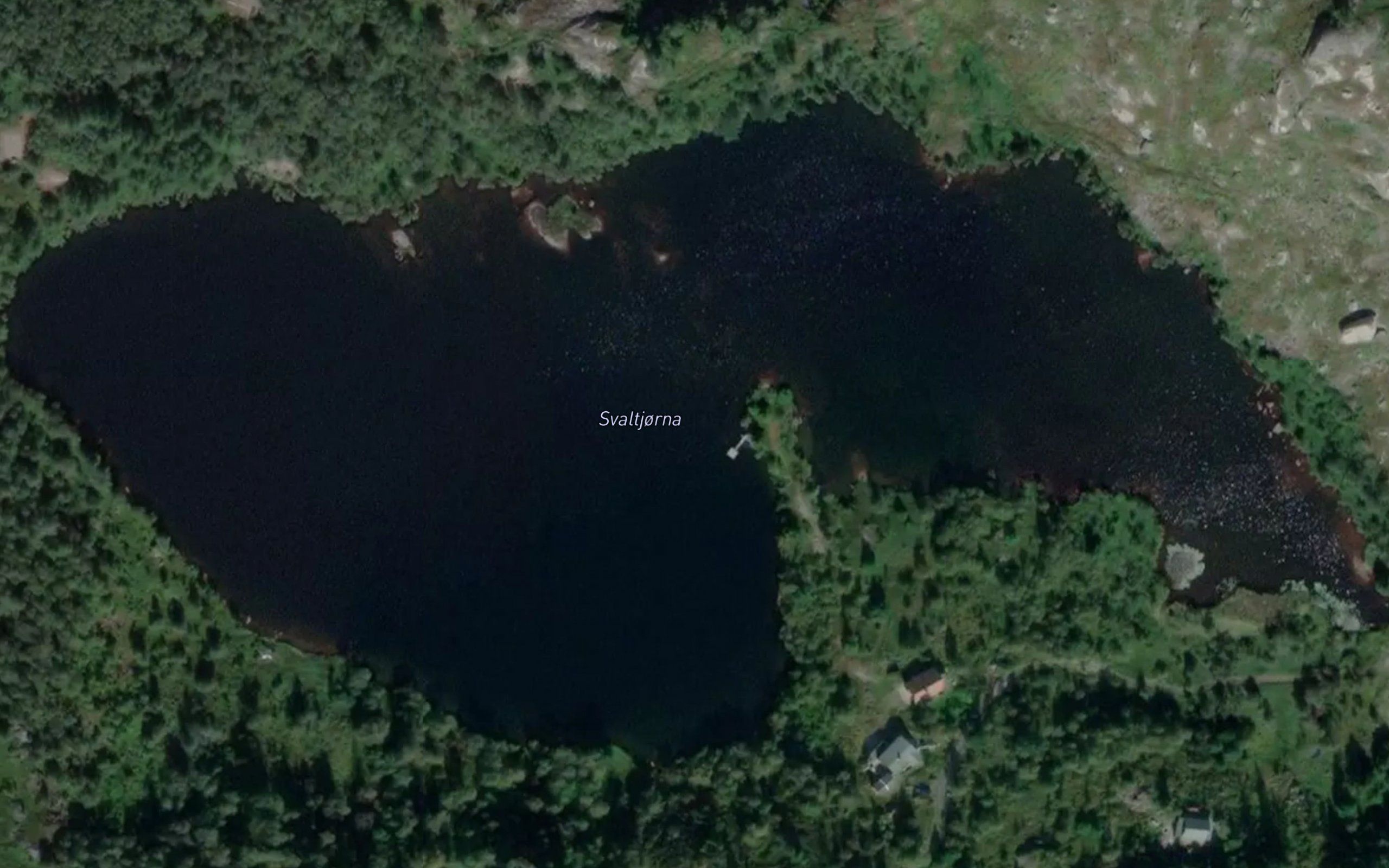 Svaltjorni