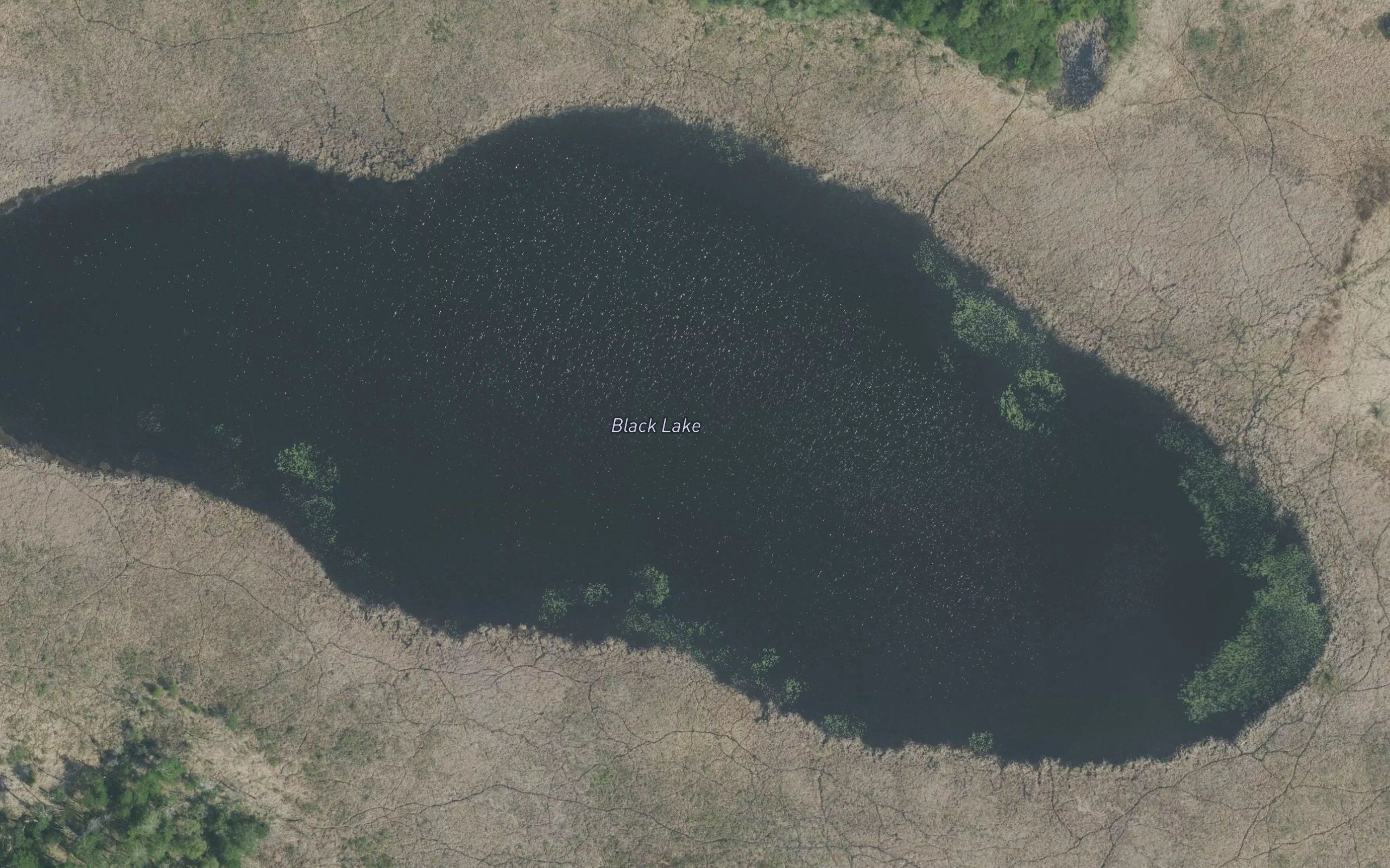 Black Lake