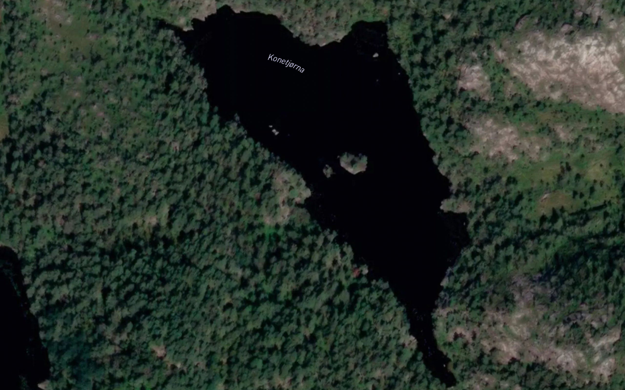 Konetjorna