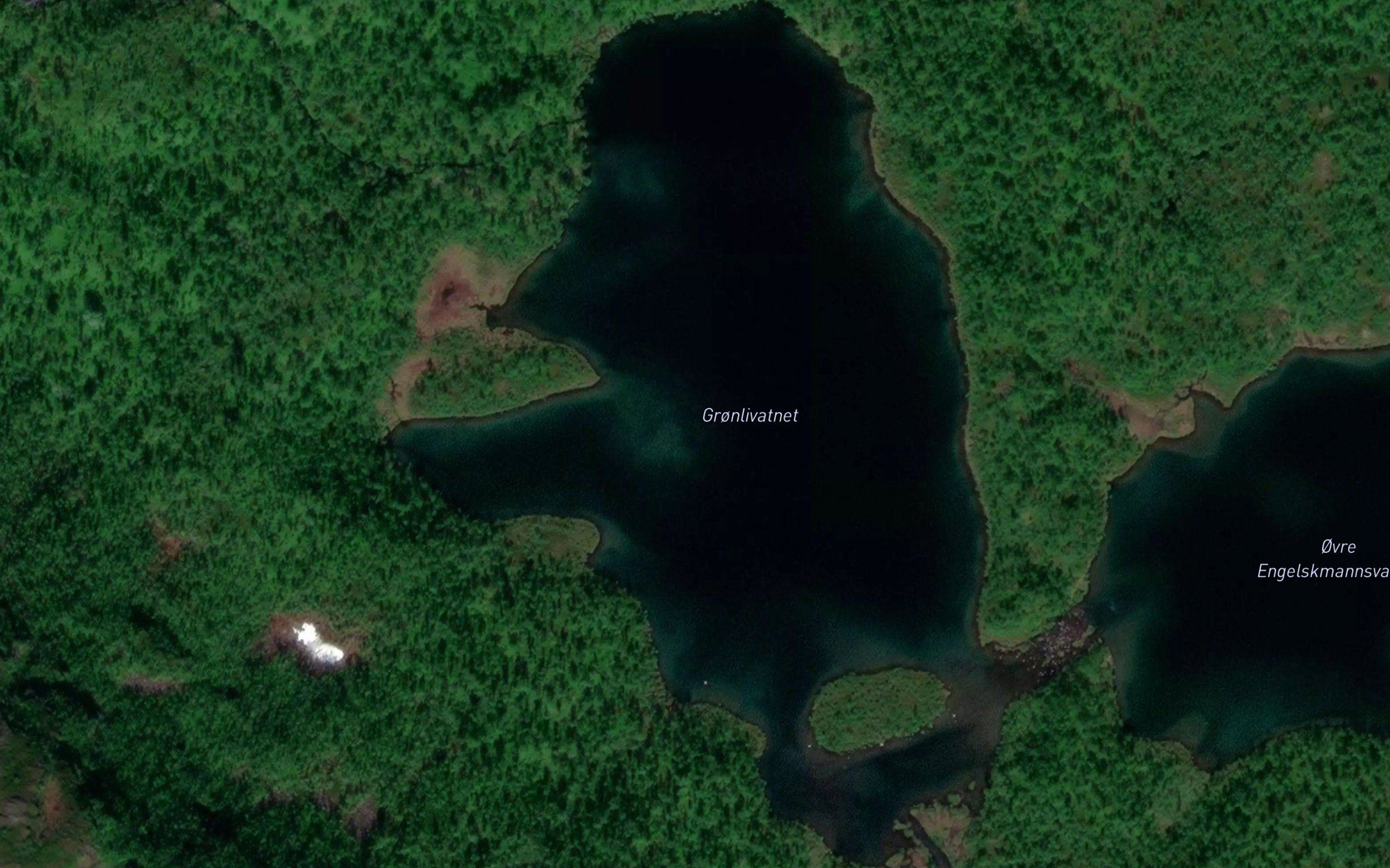 Gronlivatnet
