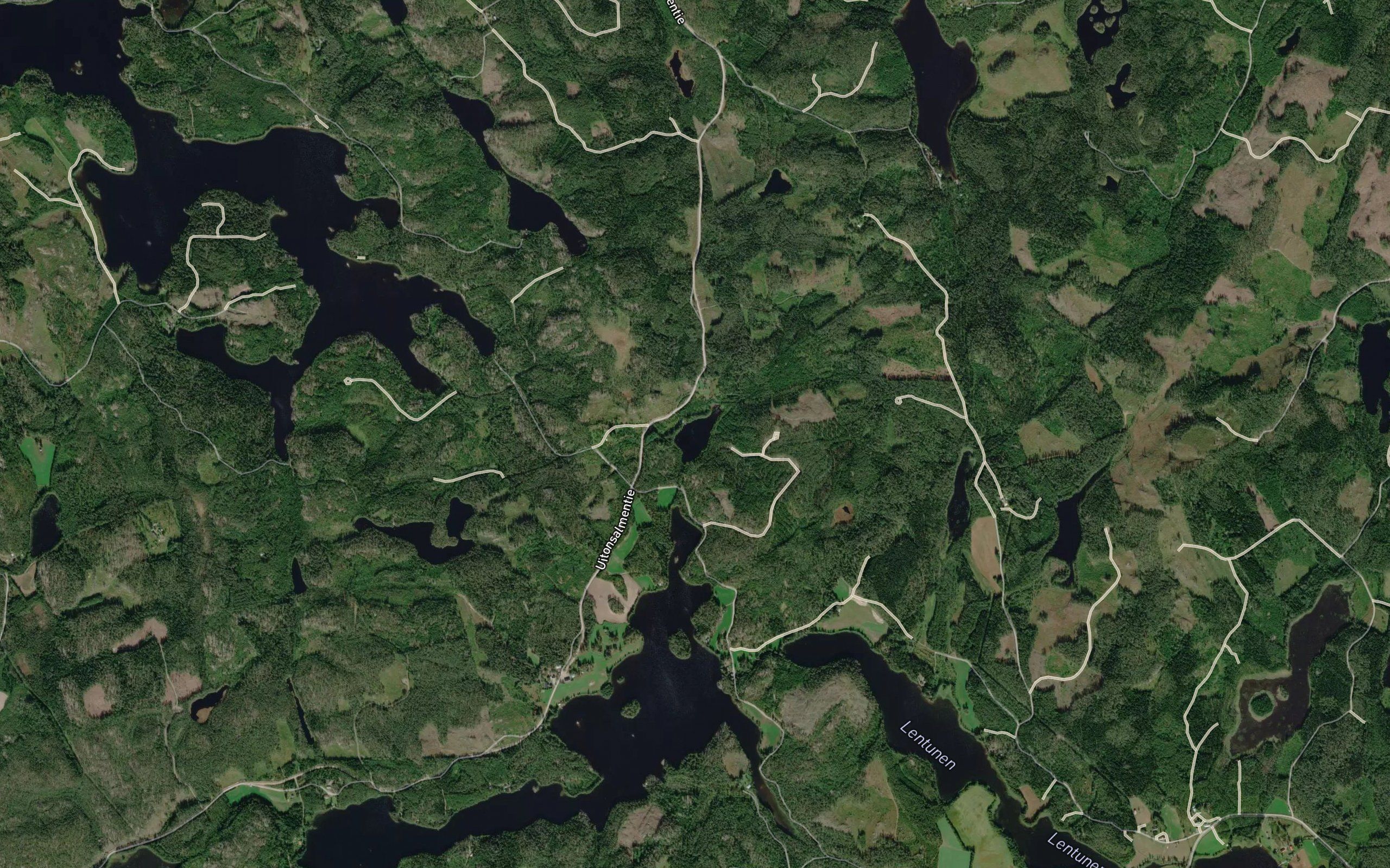 Hirvilampi