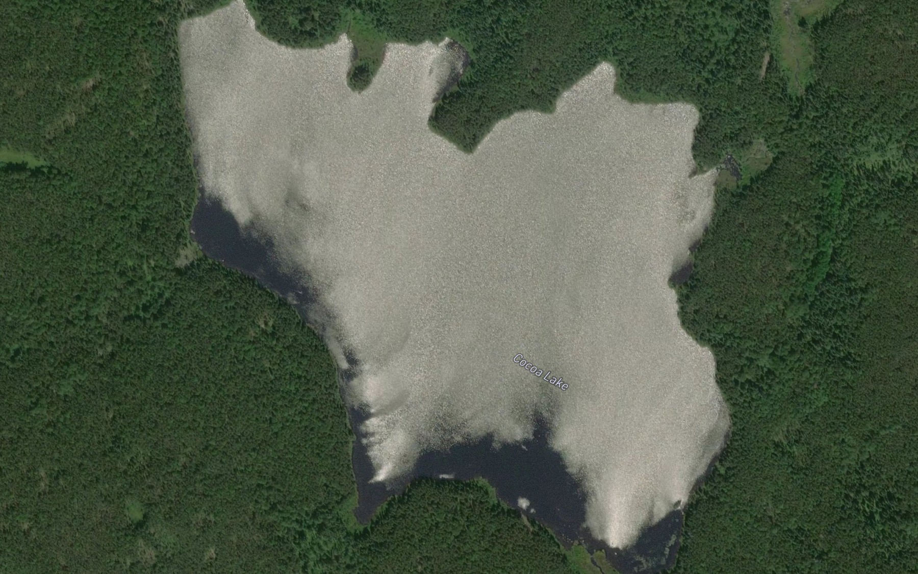 Satellite map of the Cocoa Lake