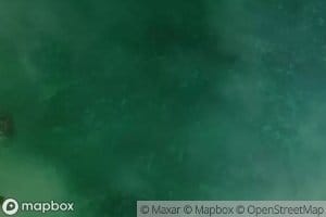 Restinga de Cayo Palma