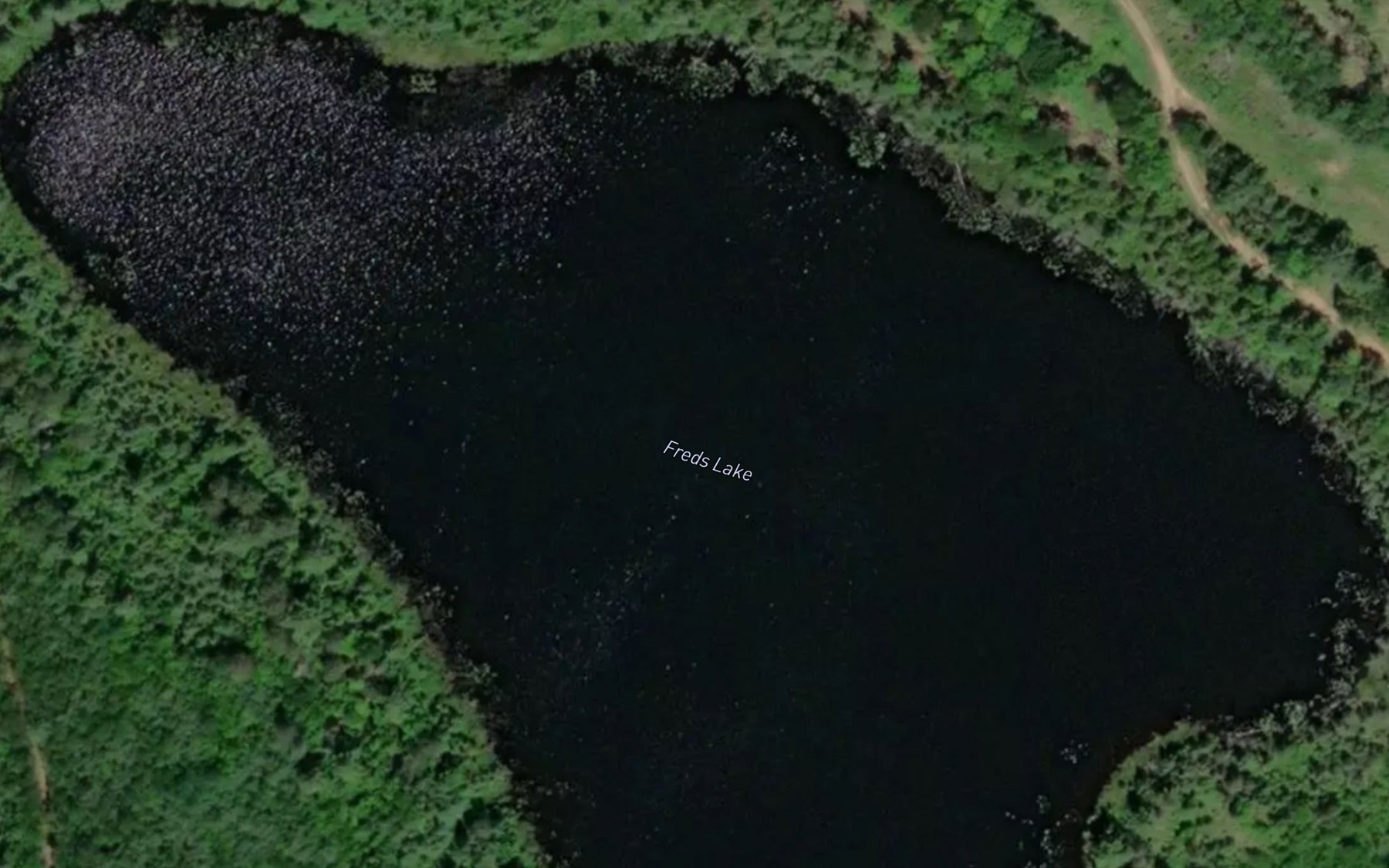 Satellite map of the Freds Lake