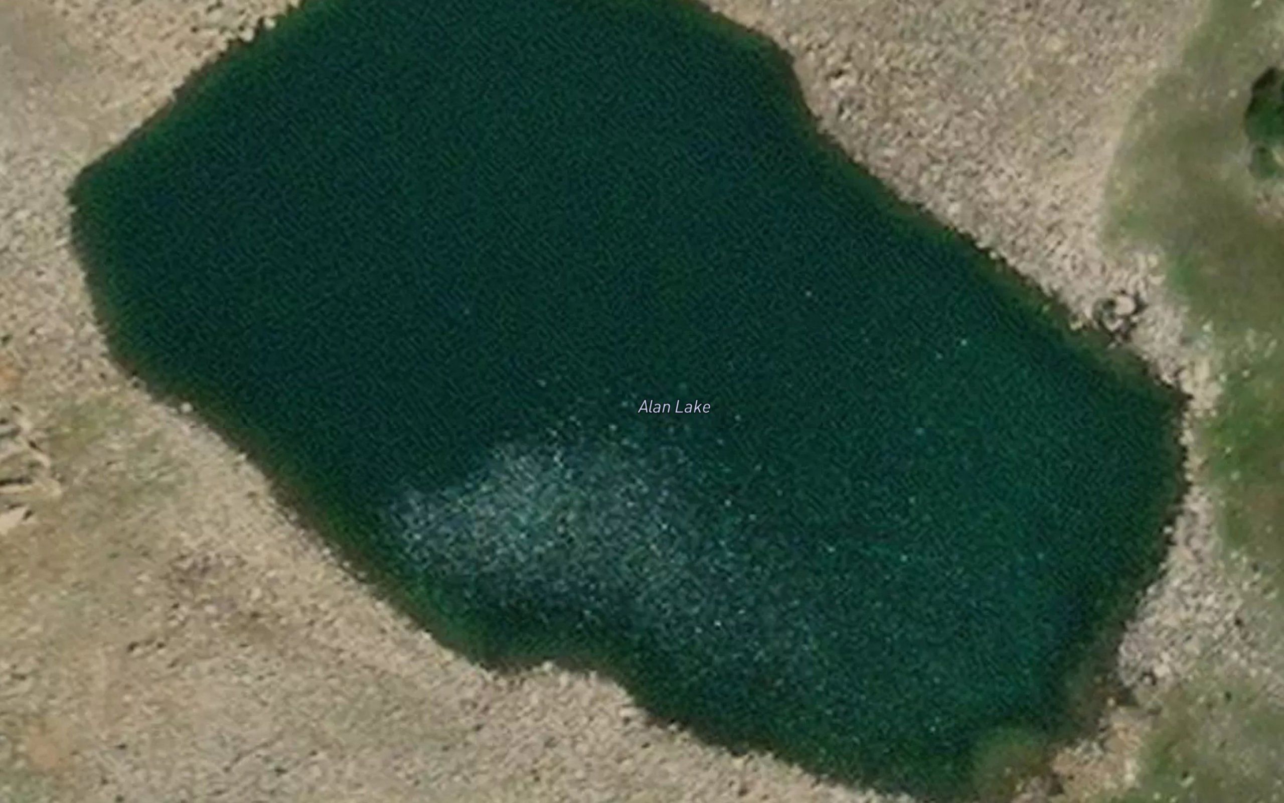 Alan Lake