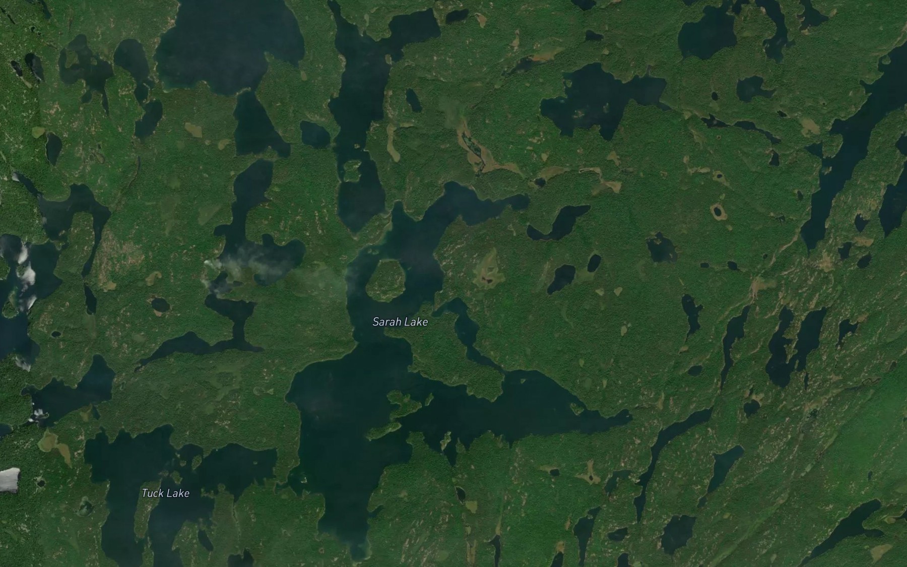 Satellite map of the Sarah Lake