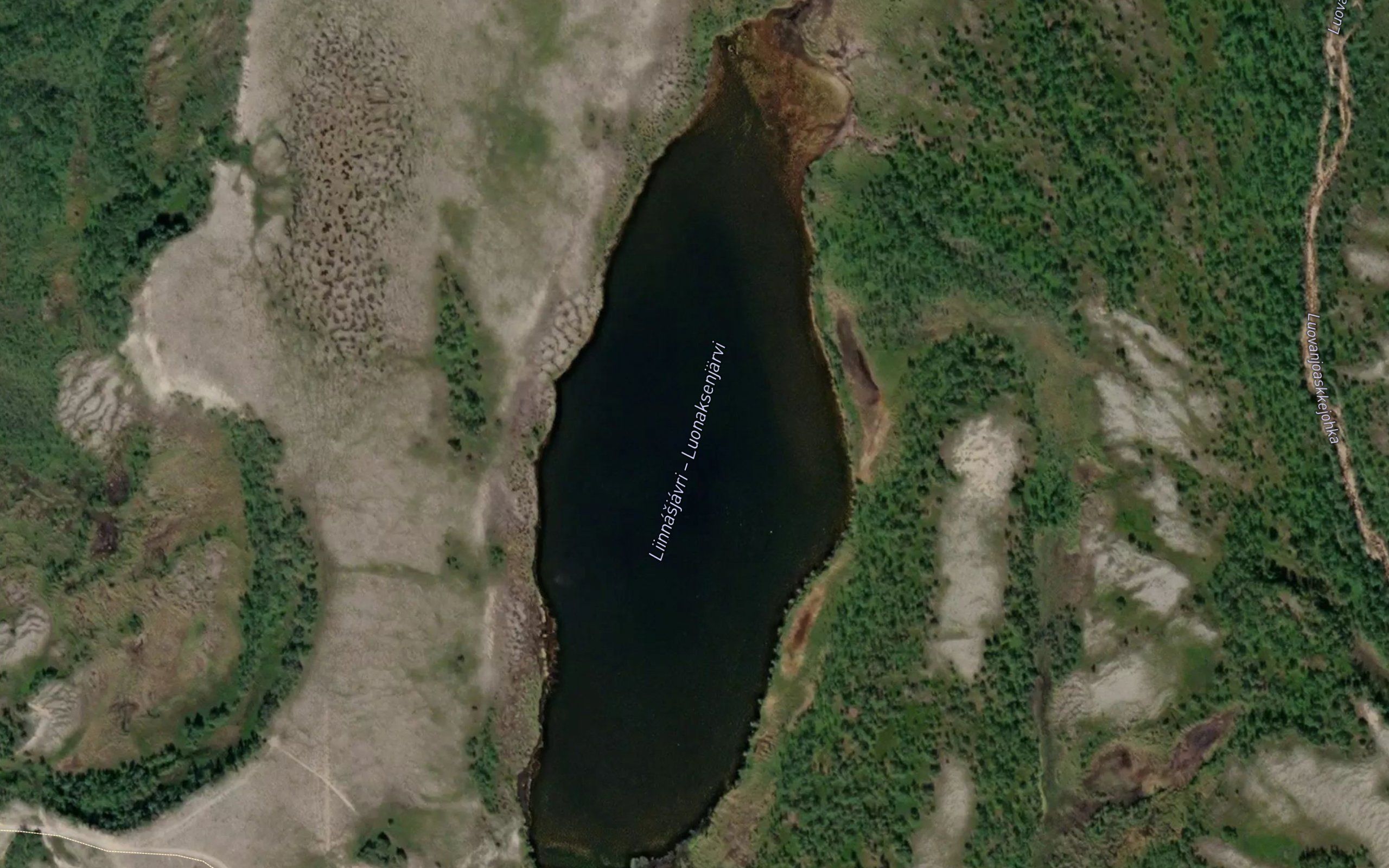 Liinasjavri