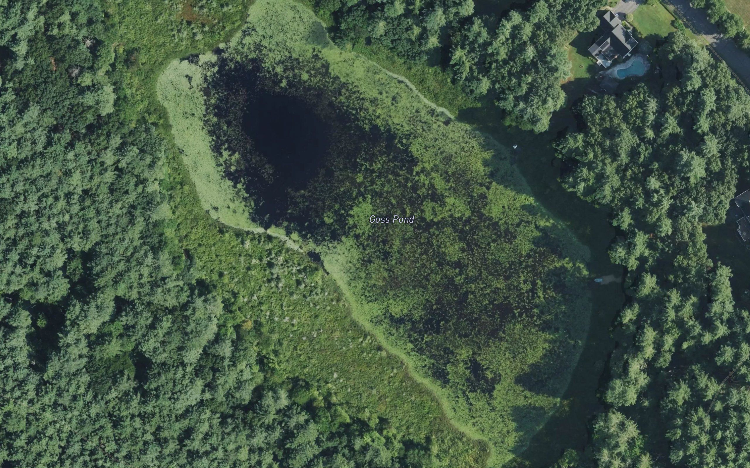 Goss Pond