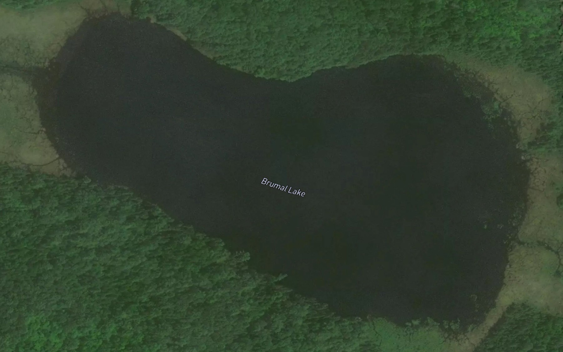 Satellite map of the Brumal Lake
