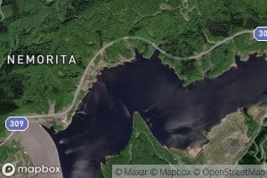 Moriyoshi-shikimi Ko