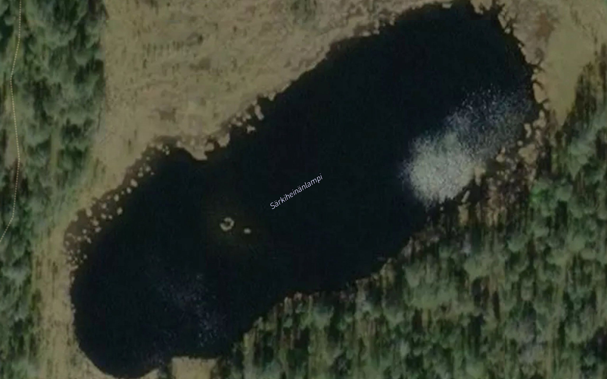 Sarkiheinanlampi