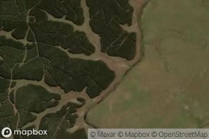 Arroyo de las Flores