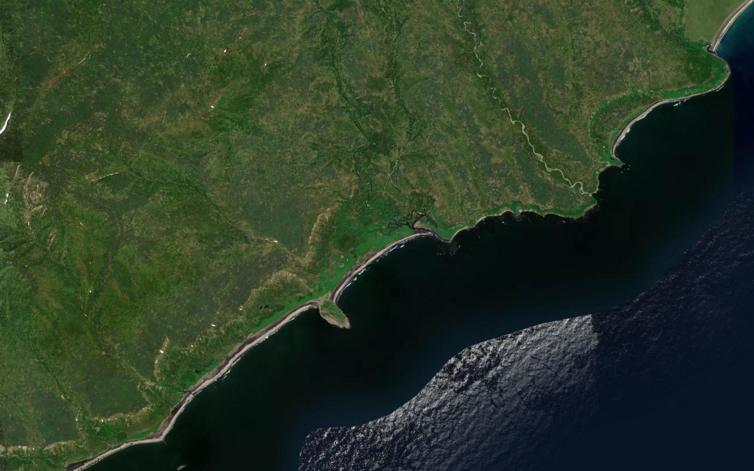 Privetnaya