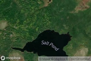 Salt Pond