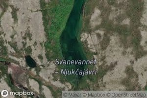 Njukcajavri