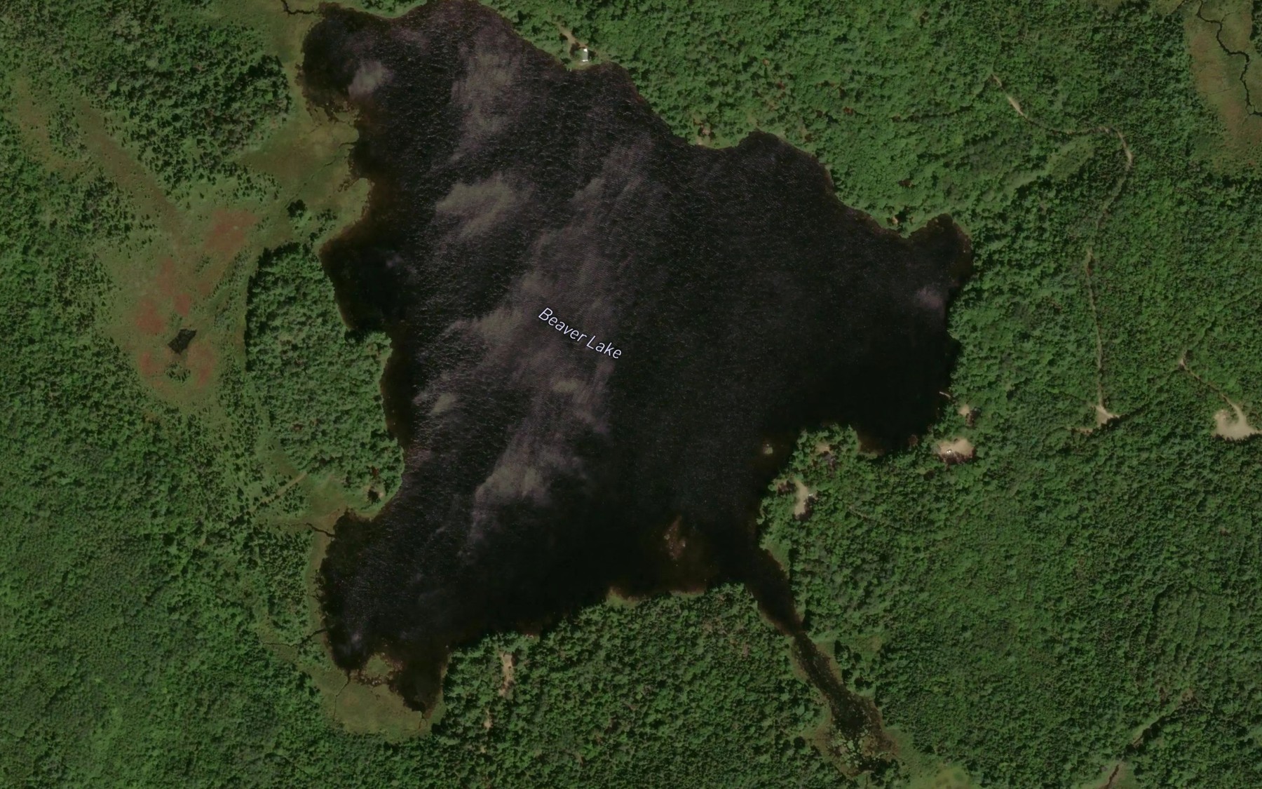 Satellite map of the Beaver Lake