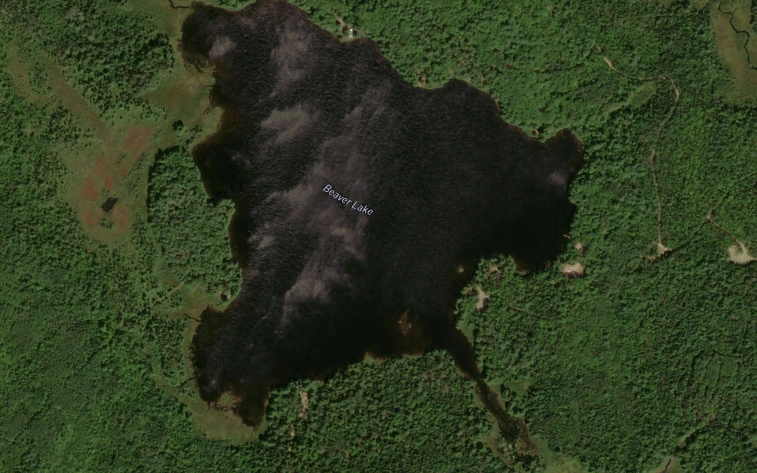 Beaver Lake