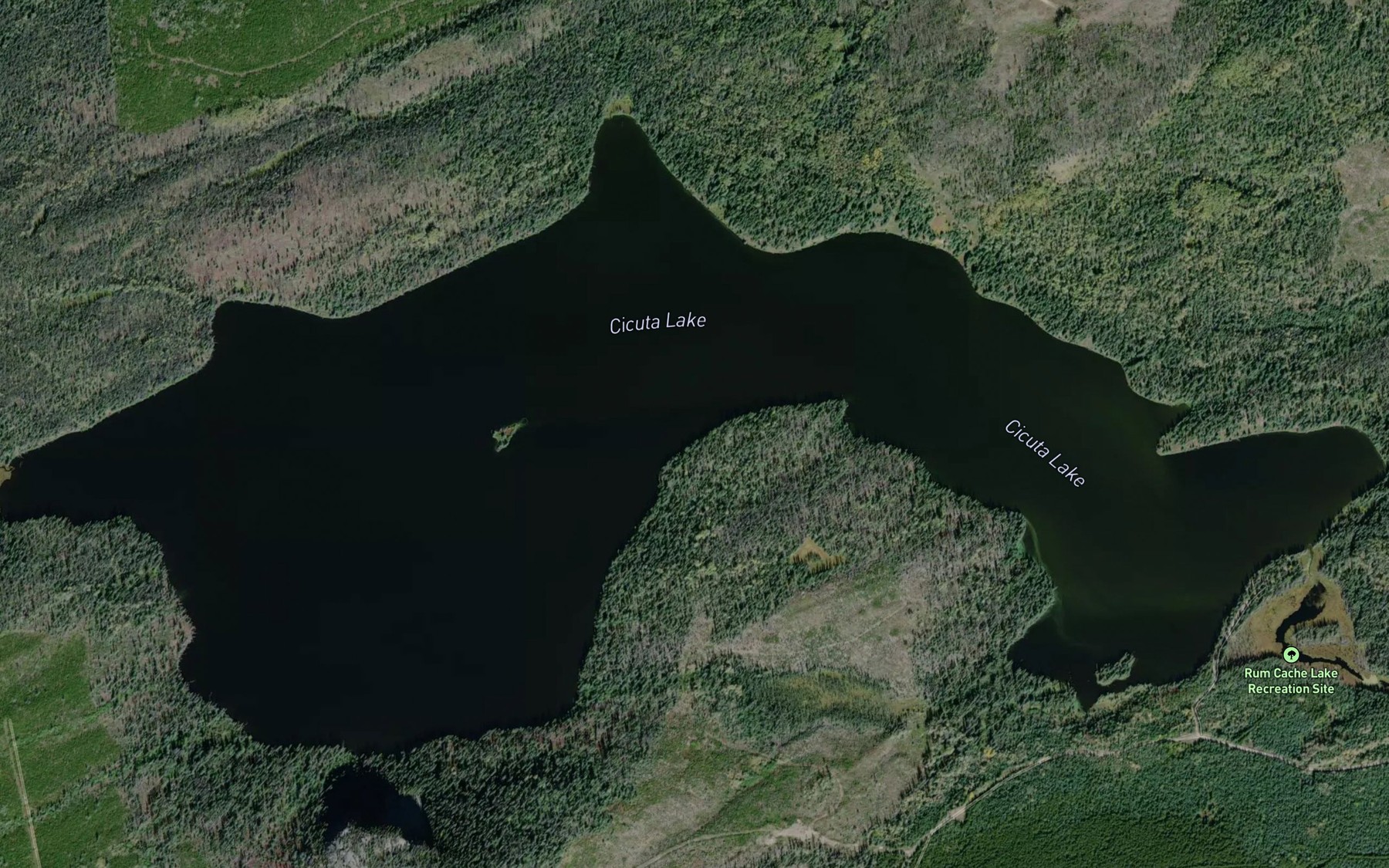 Satellite map of the Cicuta Lake