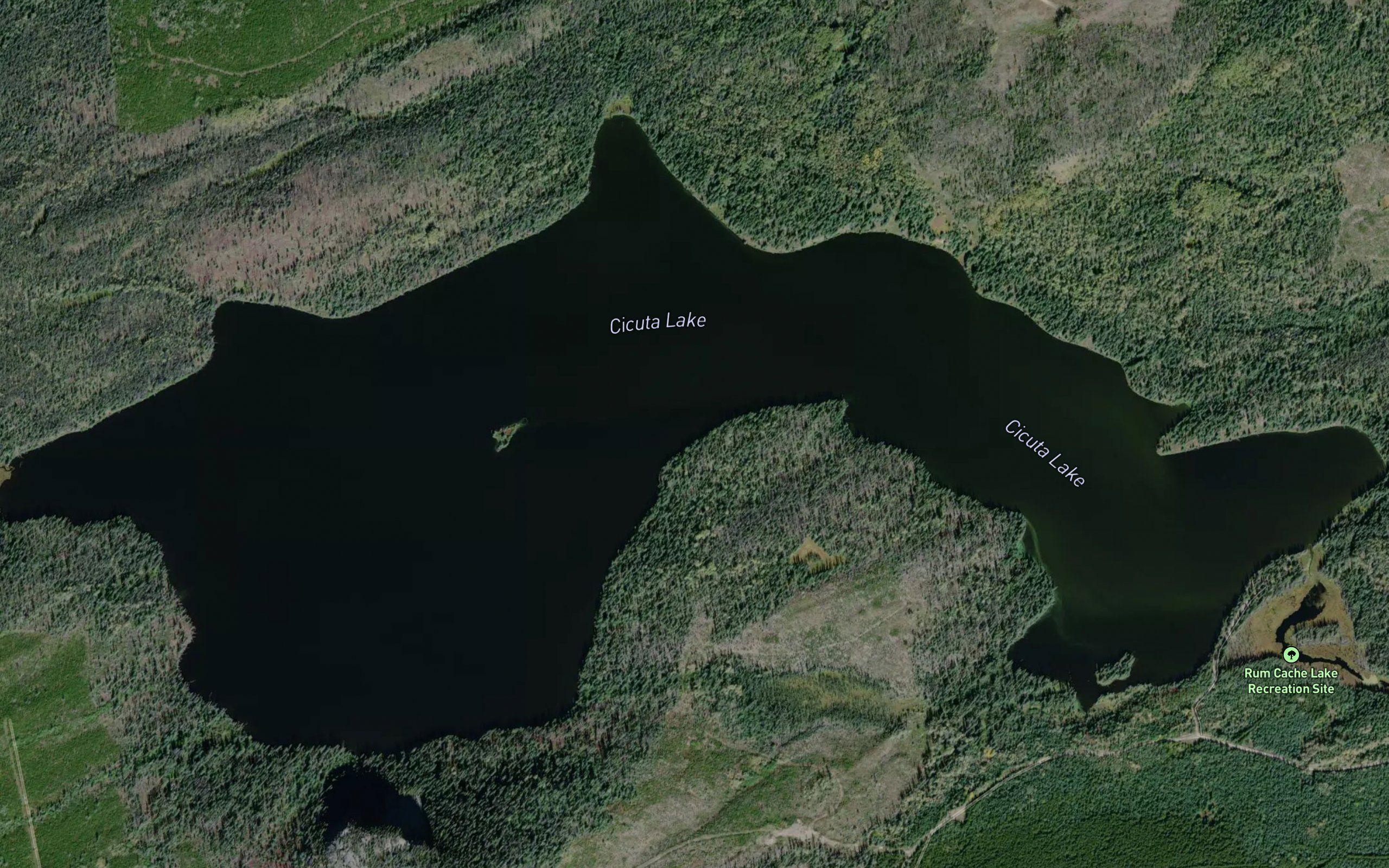 Cicuta Lake