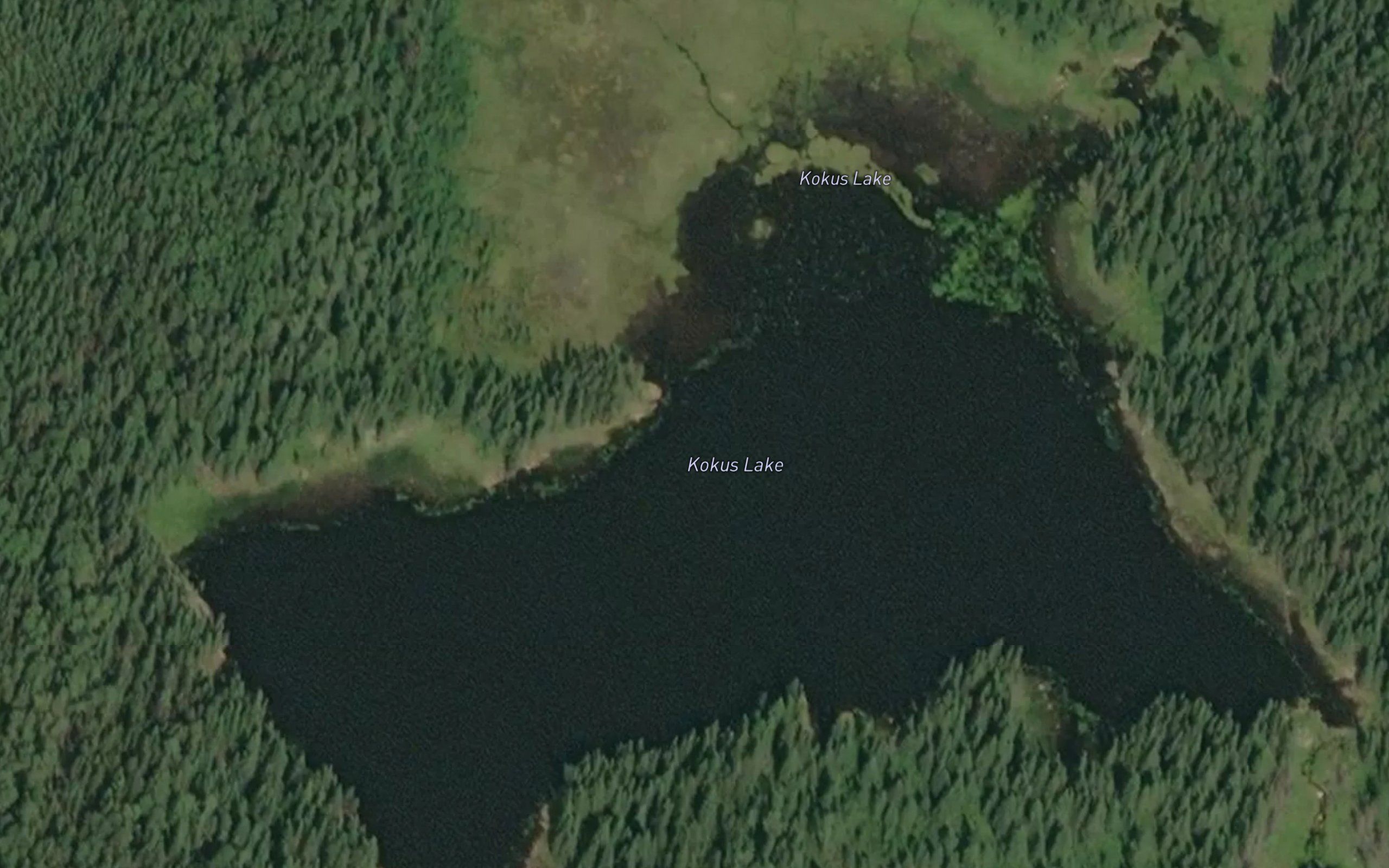 Kokus Lake