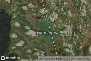 Kviknetjorna