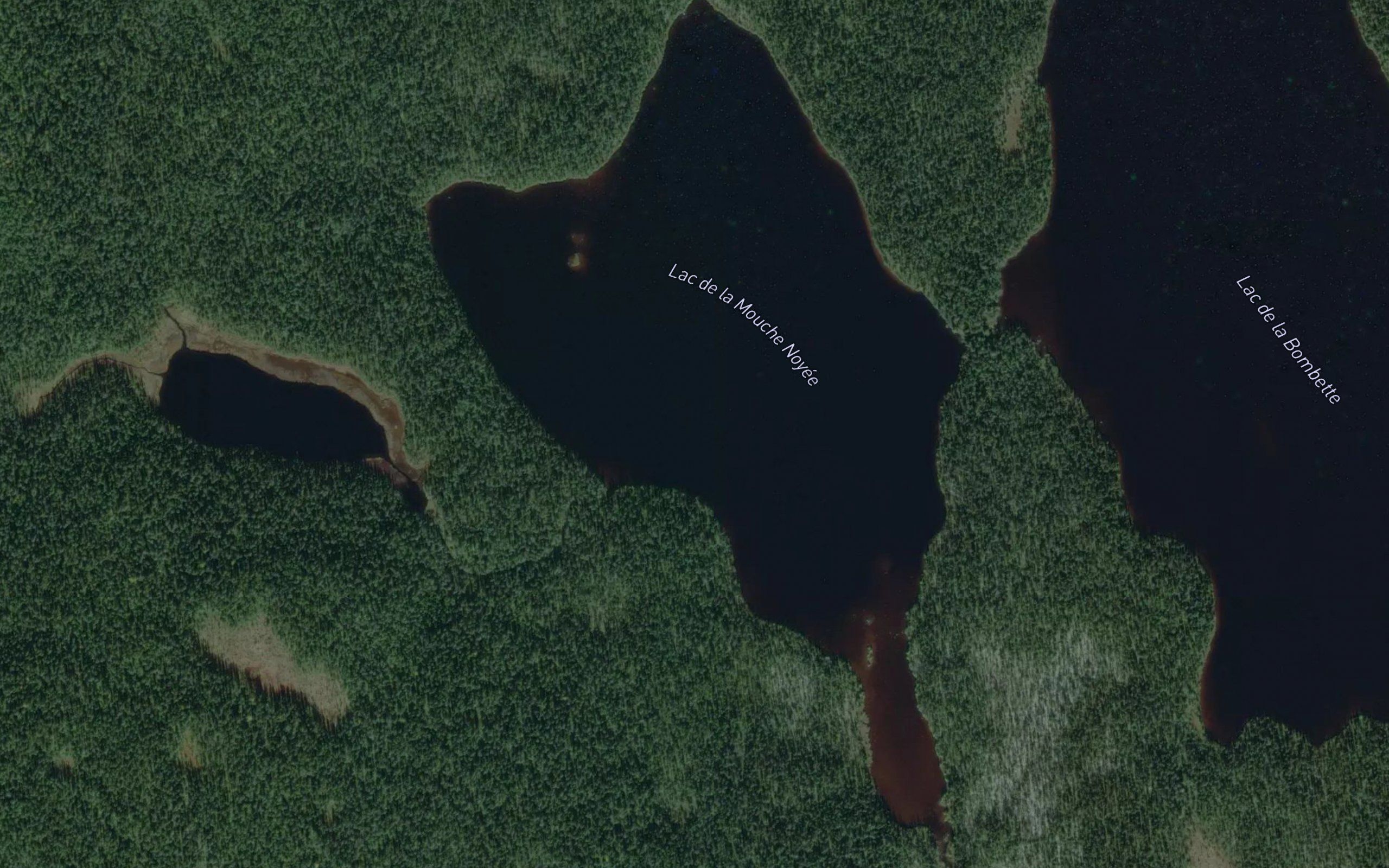 Lac de la Mouche Noyee