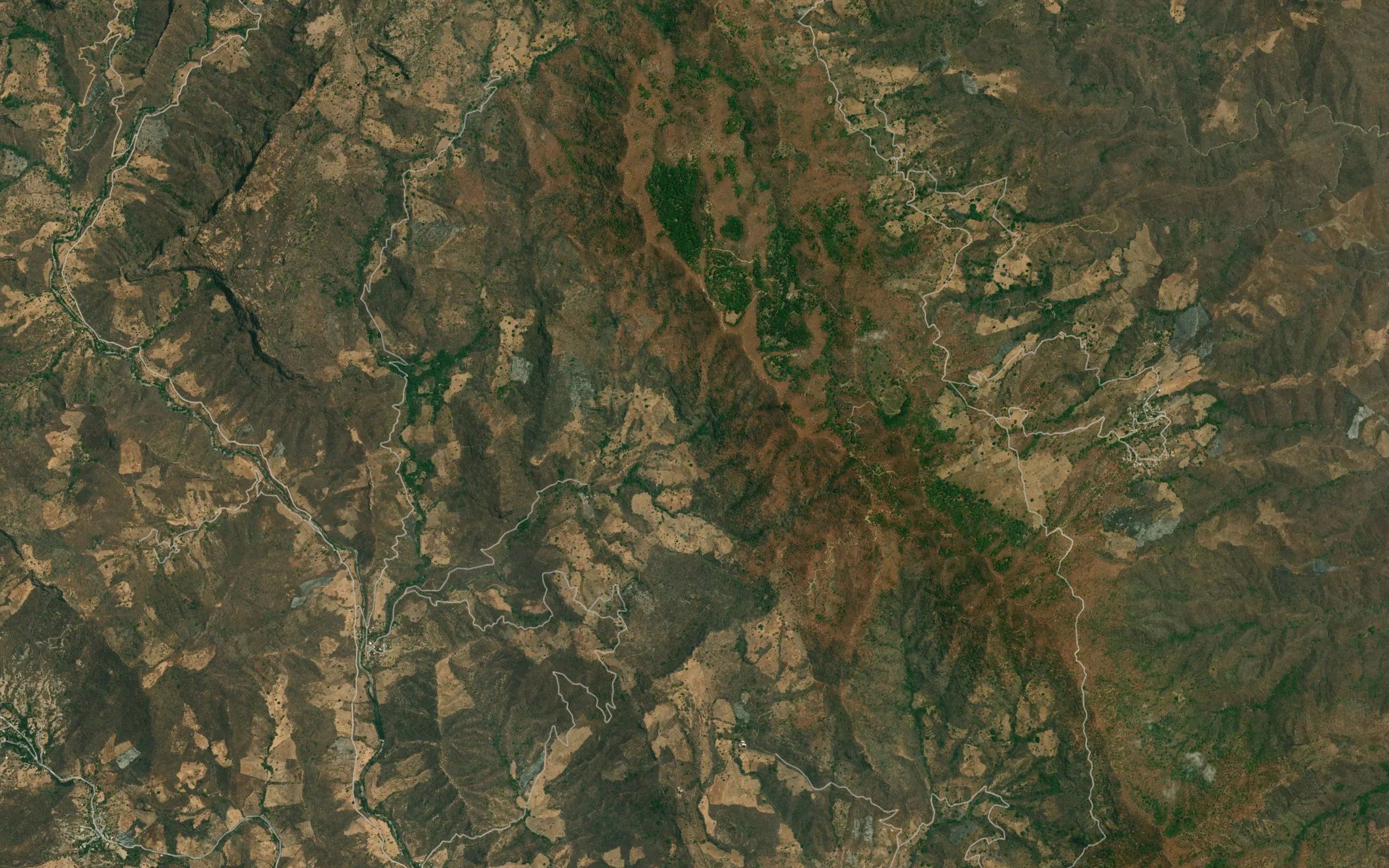 Barranca El Pino