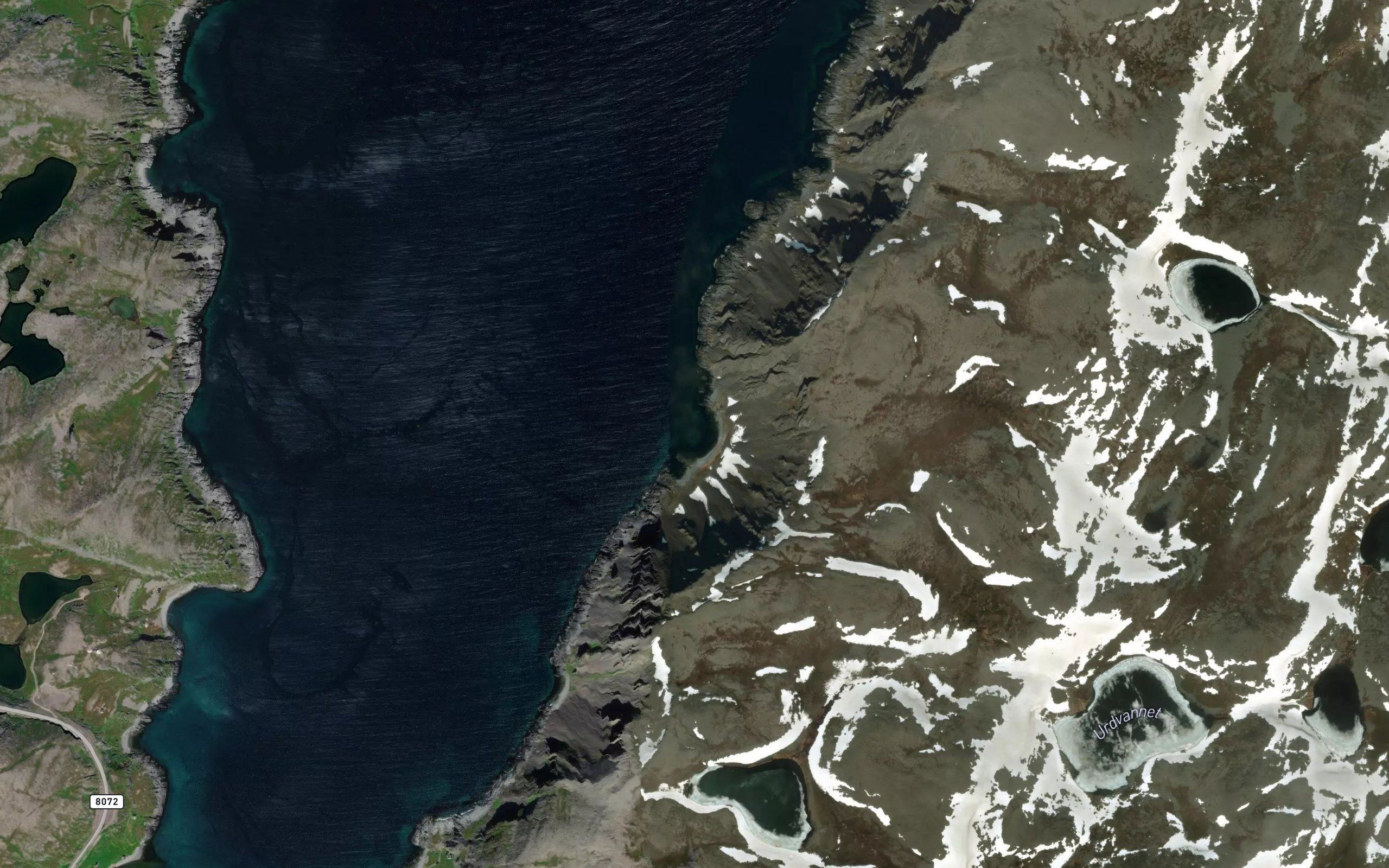 Daudingsvika