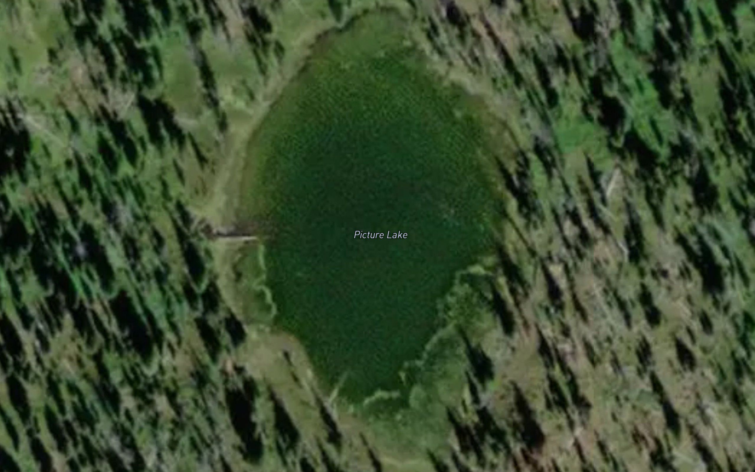 Picture Lake