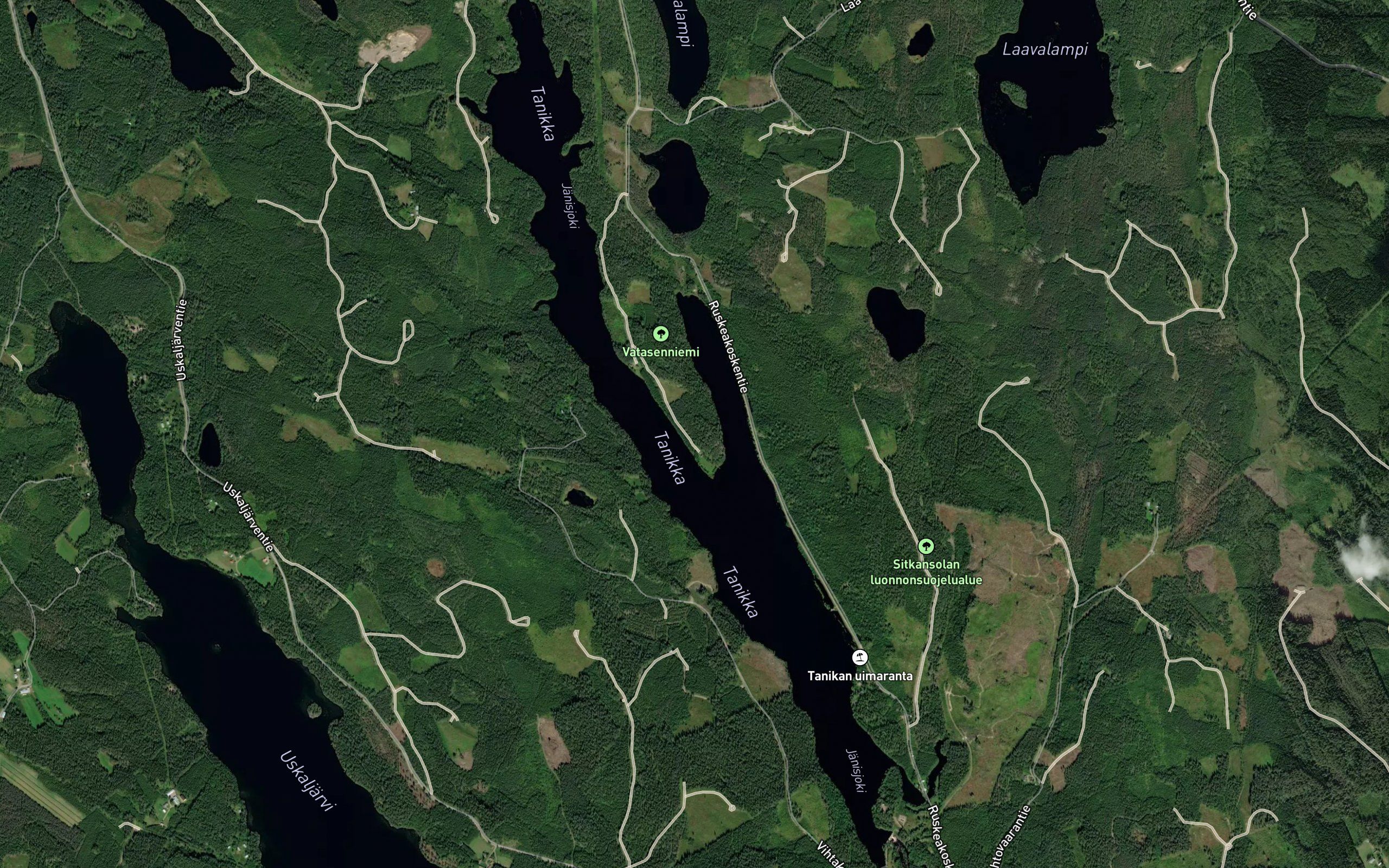 Tanikka