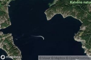 Kalvobagen