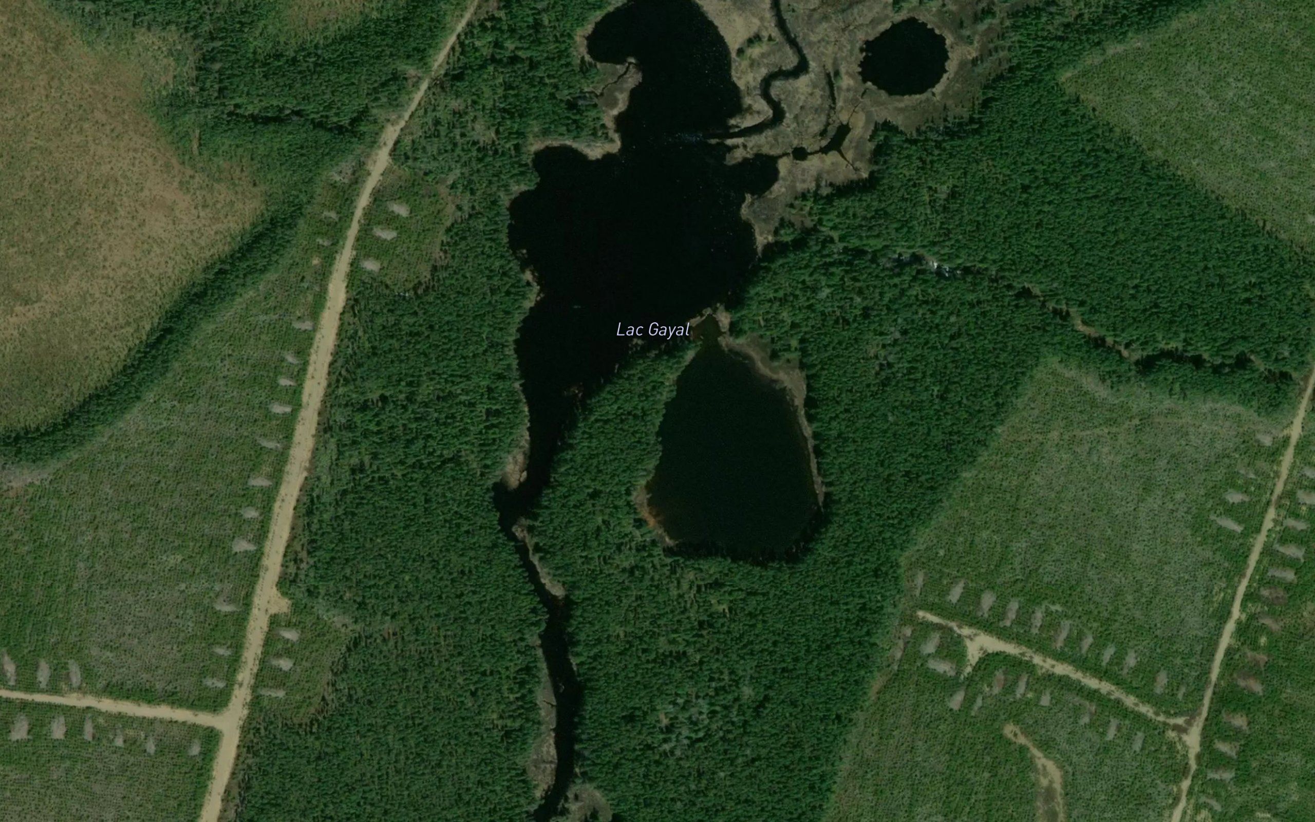 Lac Gayal