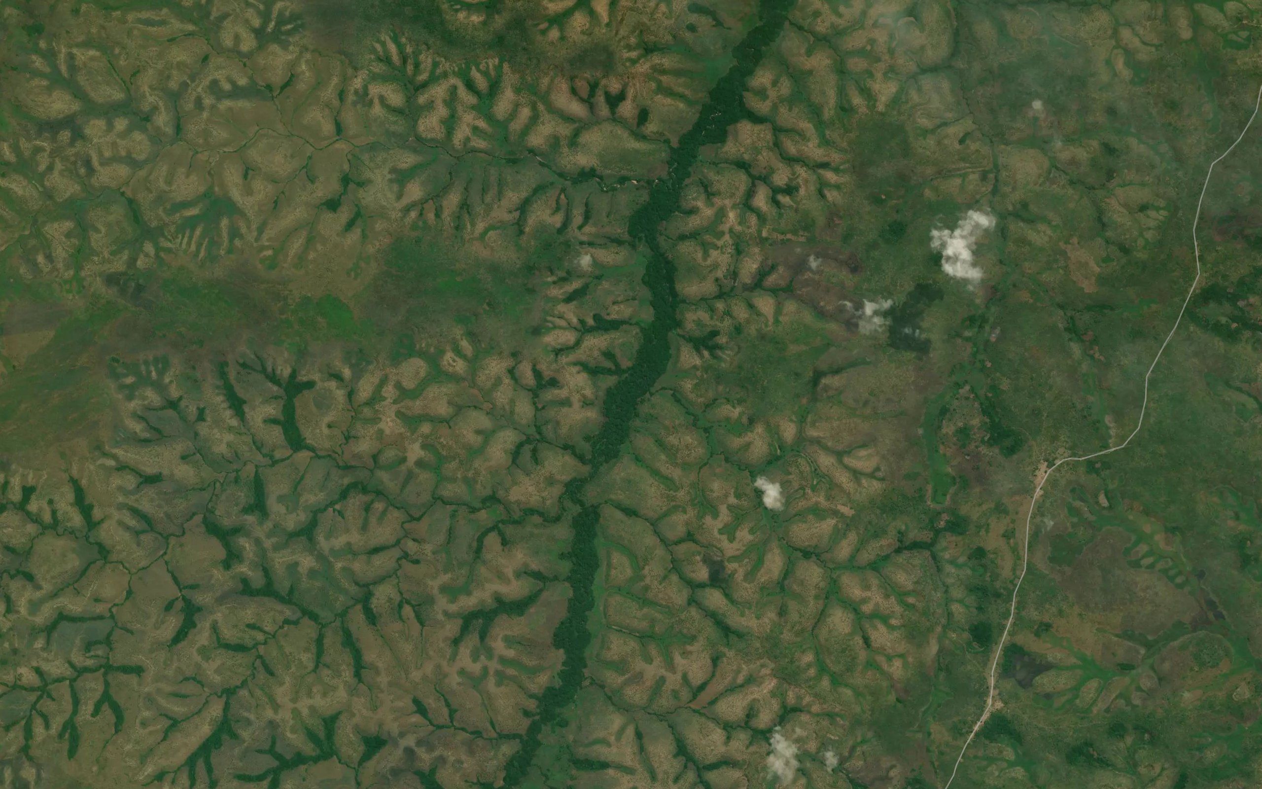 Dilambo