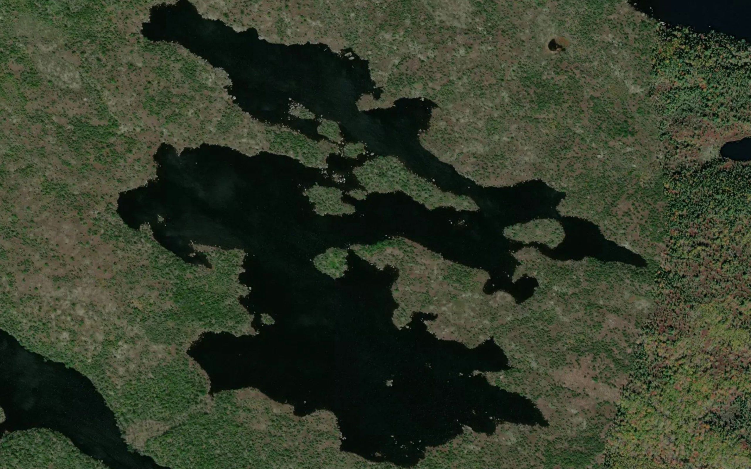 Taylor Bay Rocky Lake