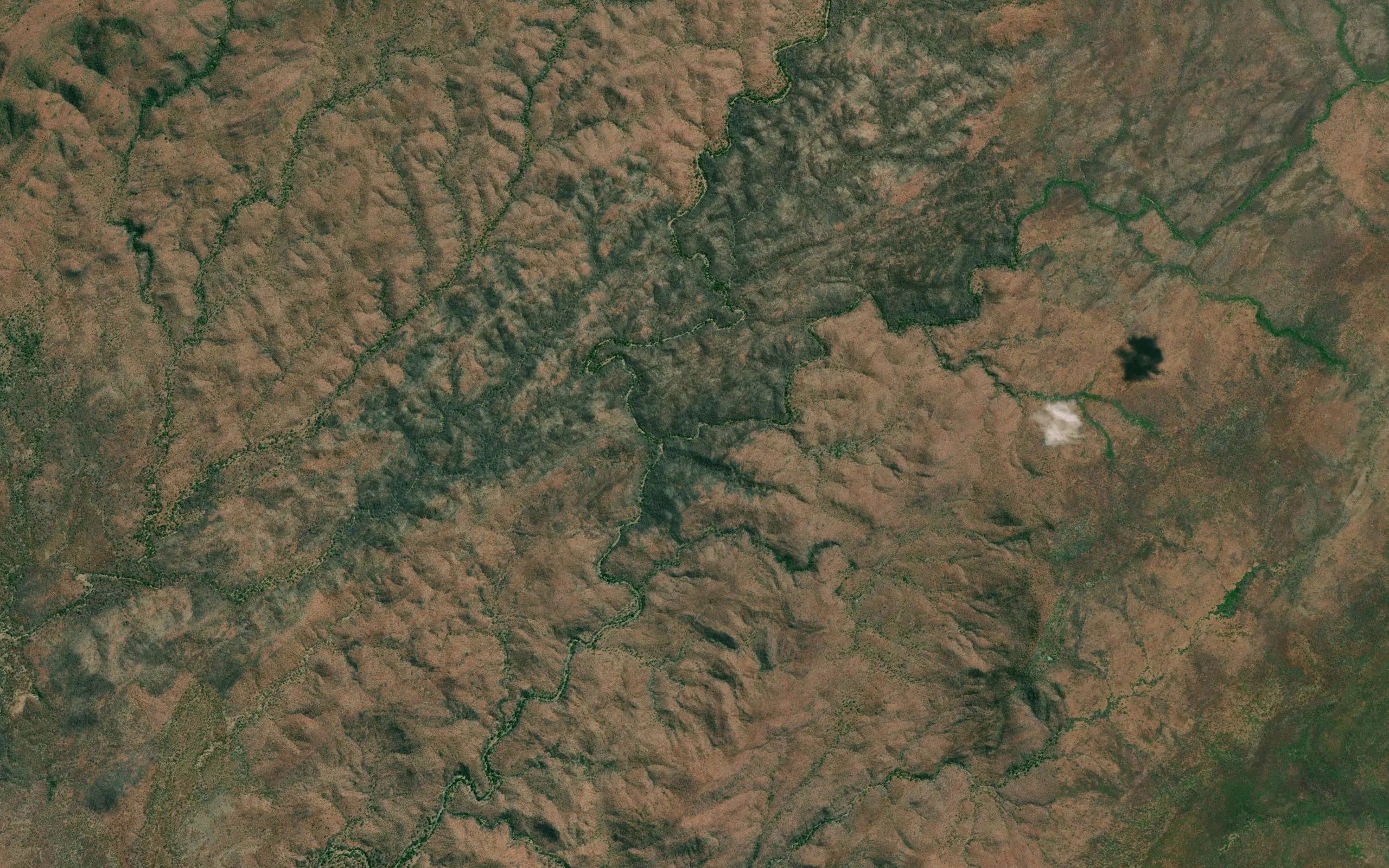 Muliandua