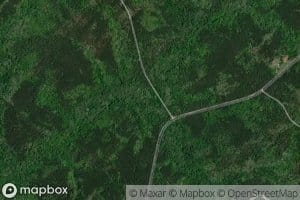 Harmon Pye Branch