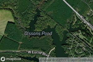 Olssons Pond