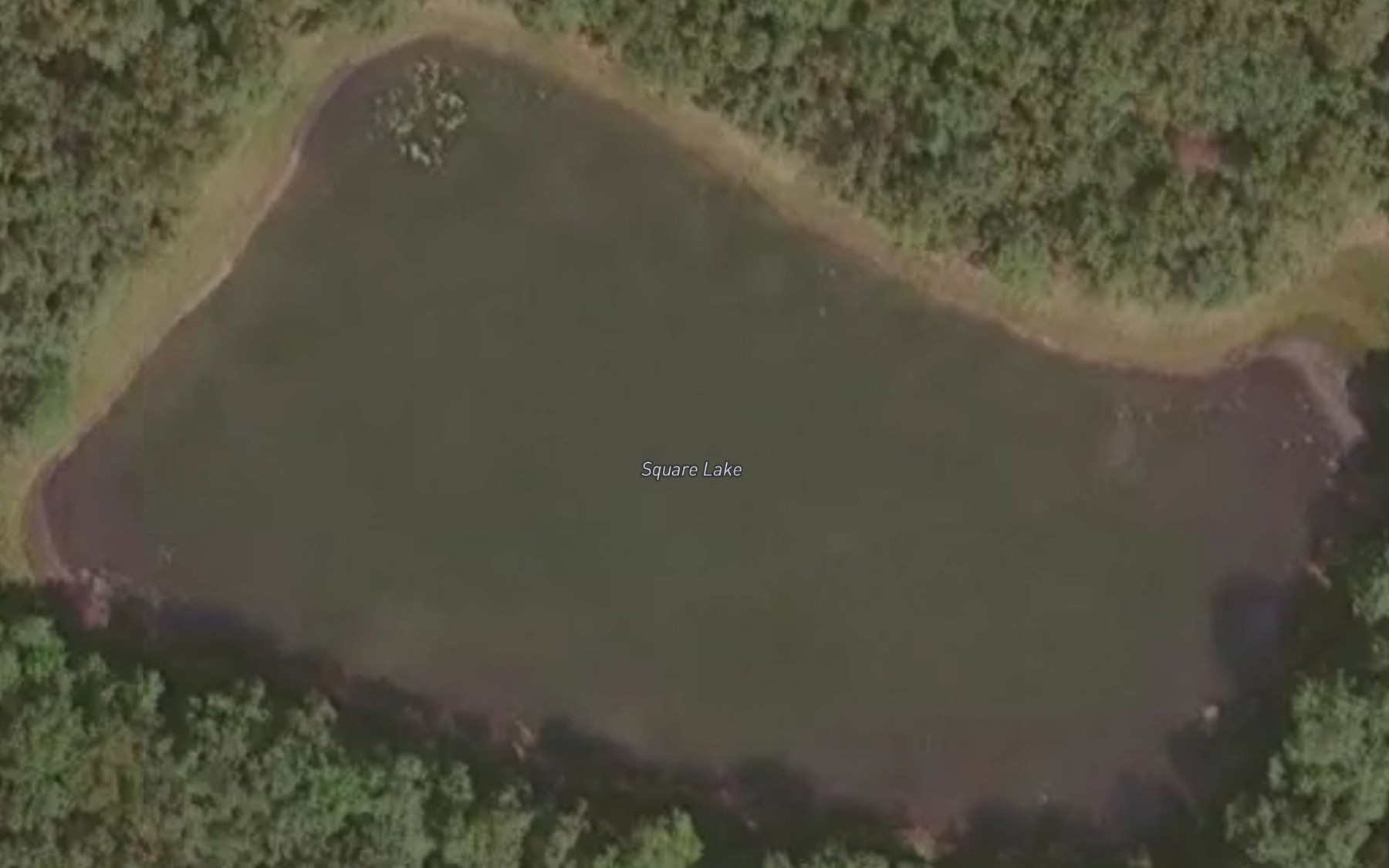 Satellite map of the Square Lake