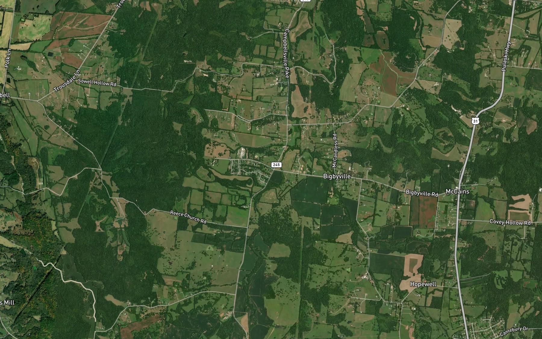 Satellite map of the Thomas Spring