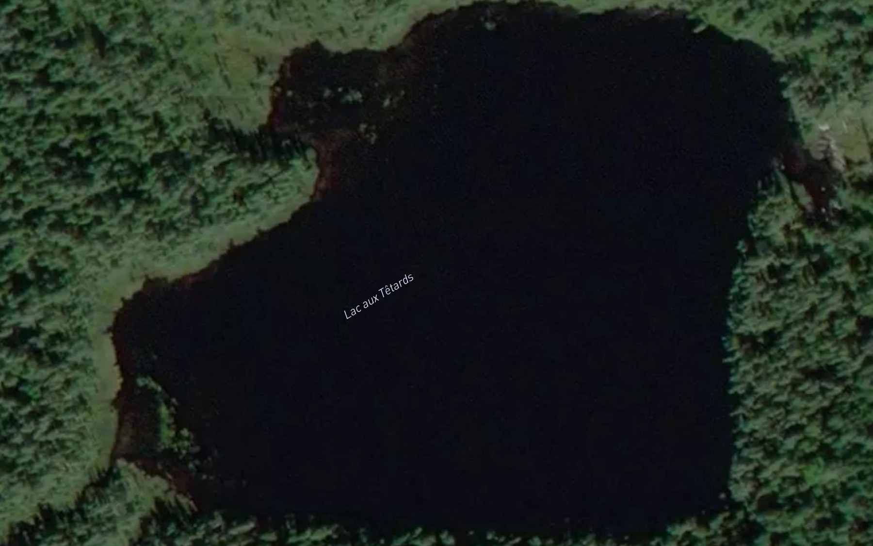 Satellite map of the Lac aux Tetards