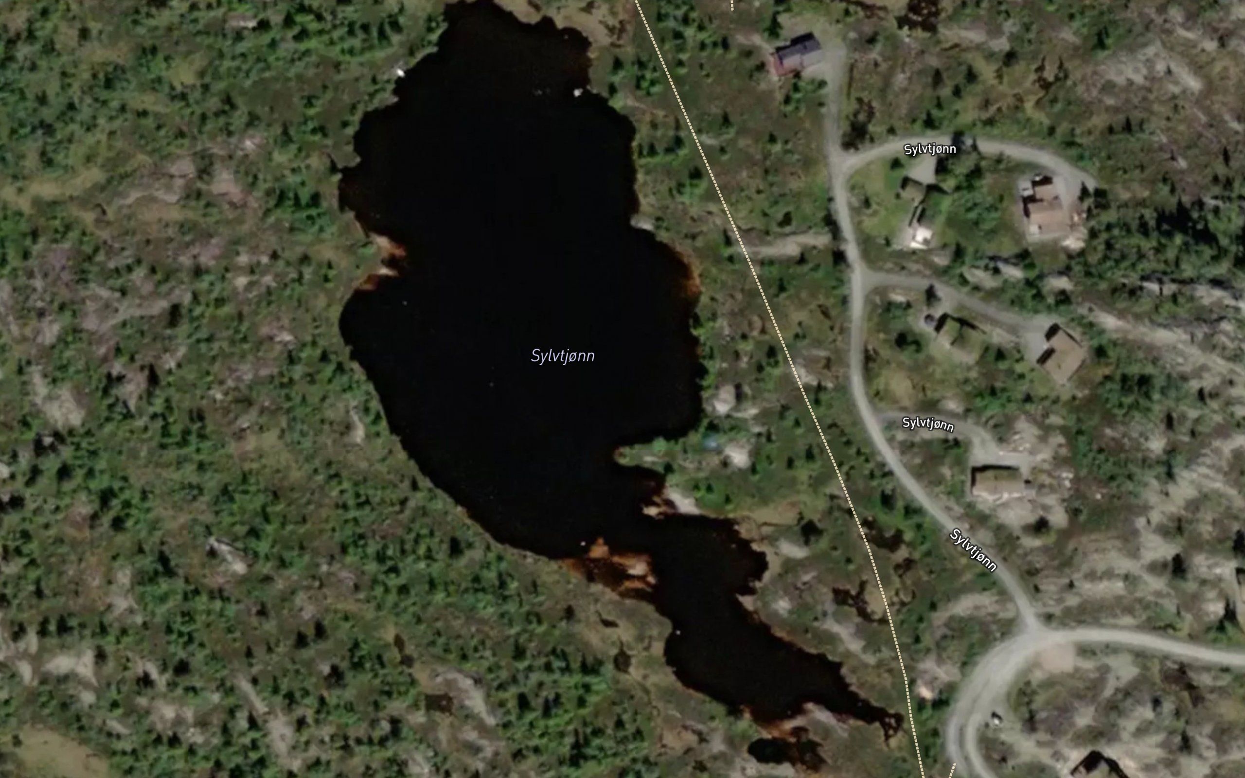 Sylvtjorn