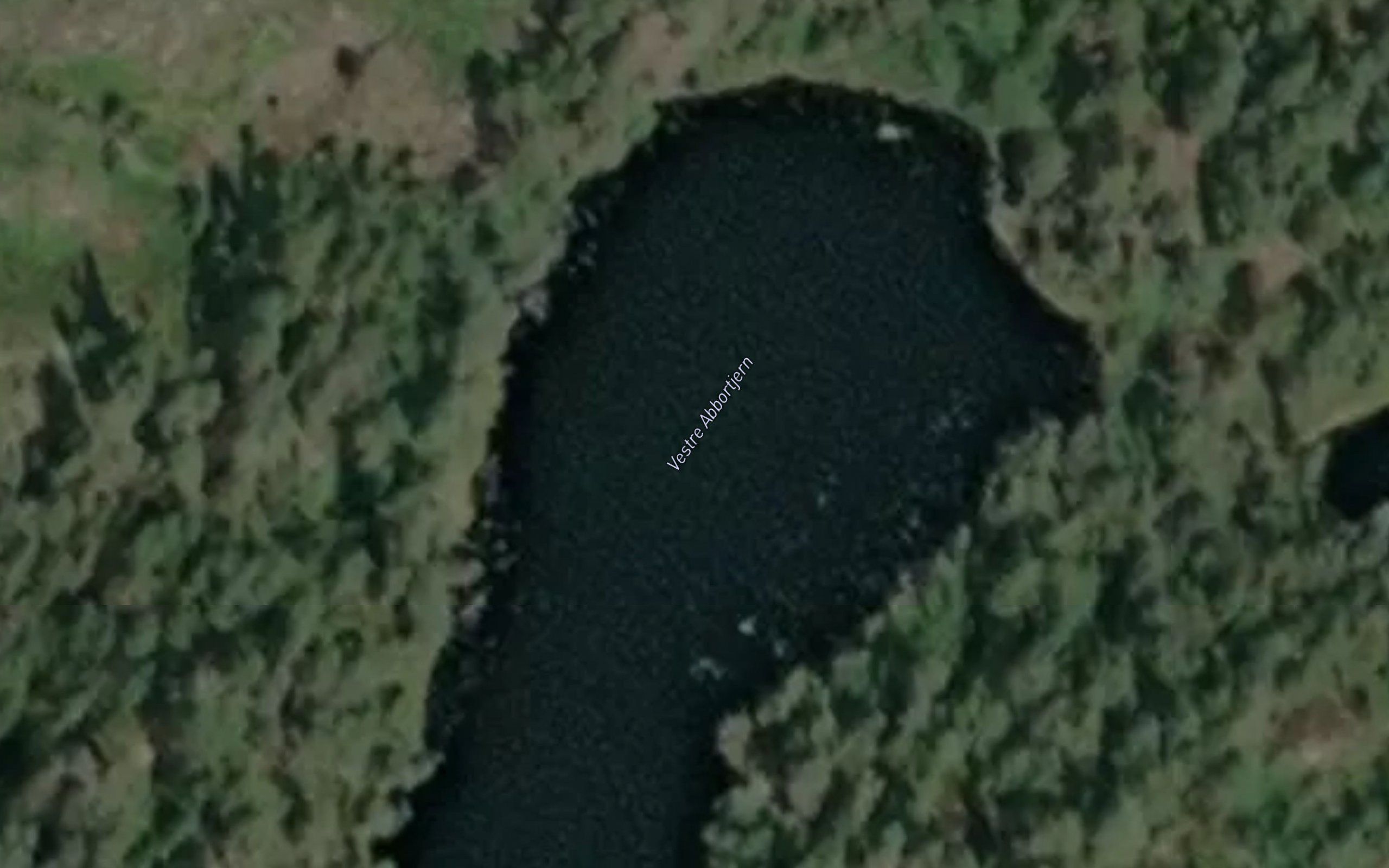Abbortjernet