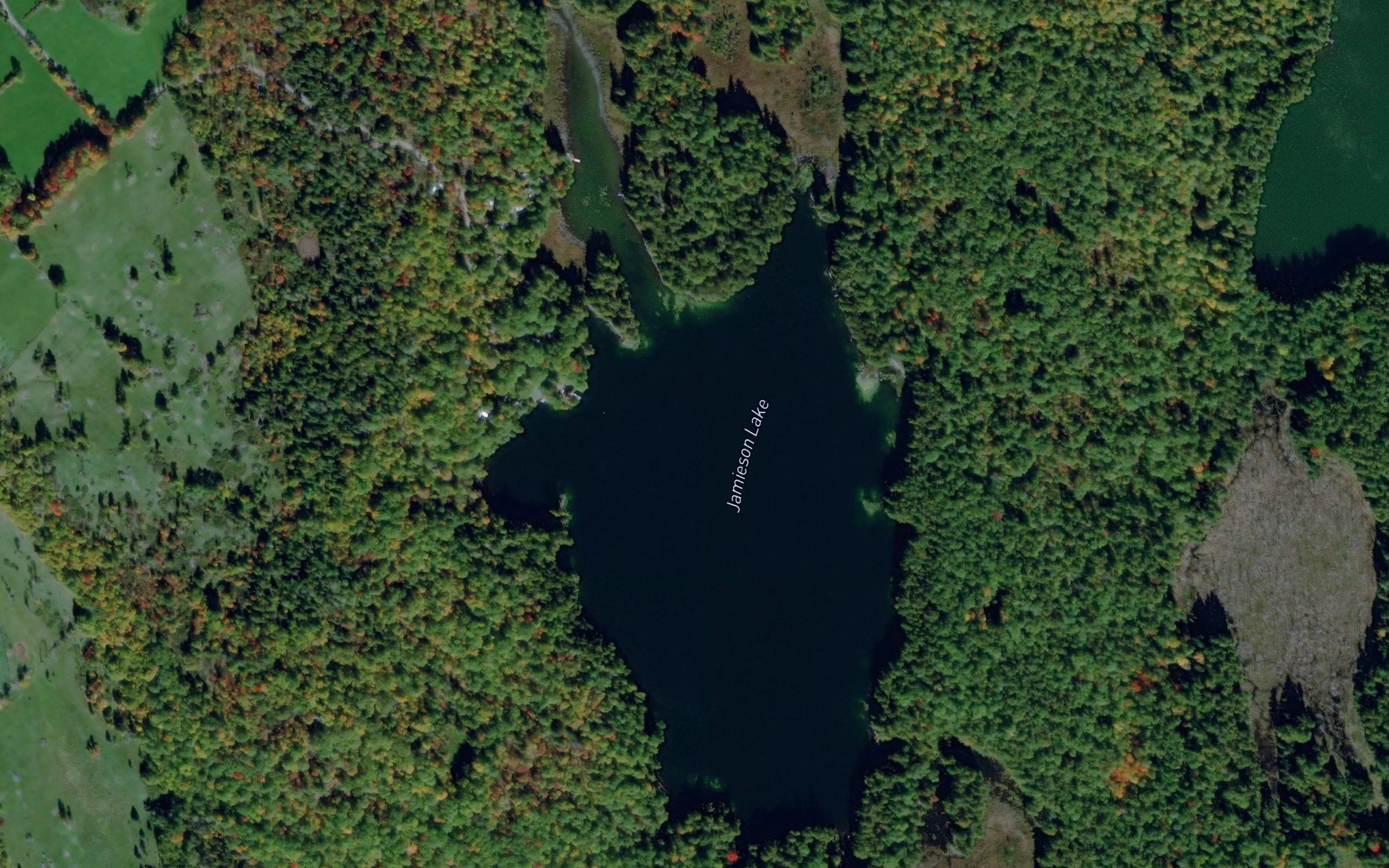 Jamieson Lake