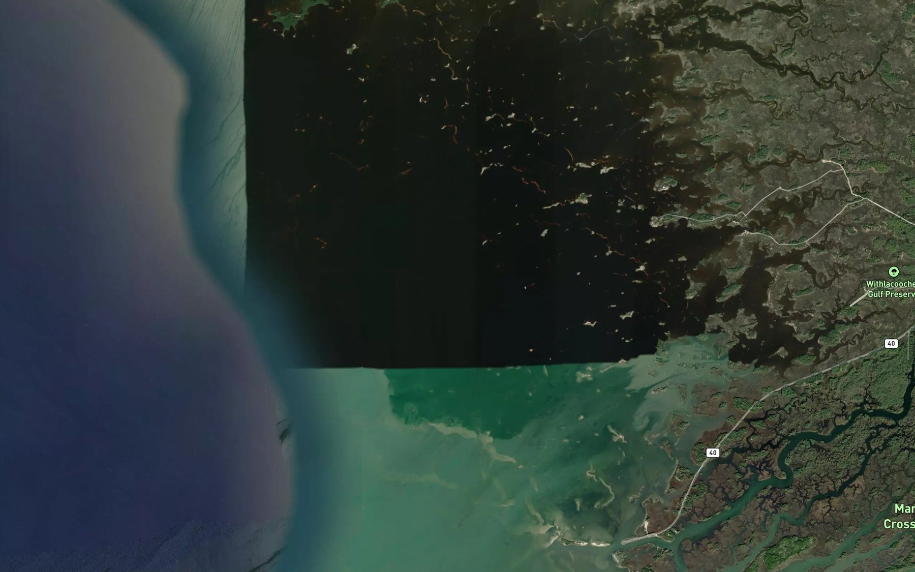 Satellite map of the Withlacoochee Bay